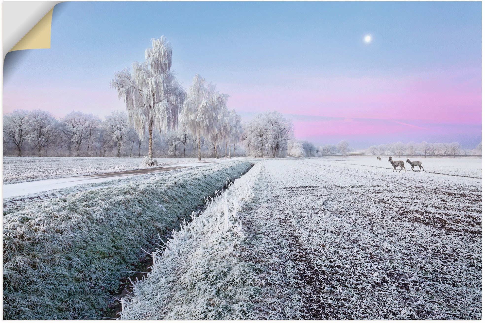 Wandfolie »Ein kurzweiliges Wintermärchen«, Vier Jahreszeiten Bilder, (1 St.),...