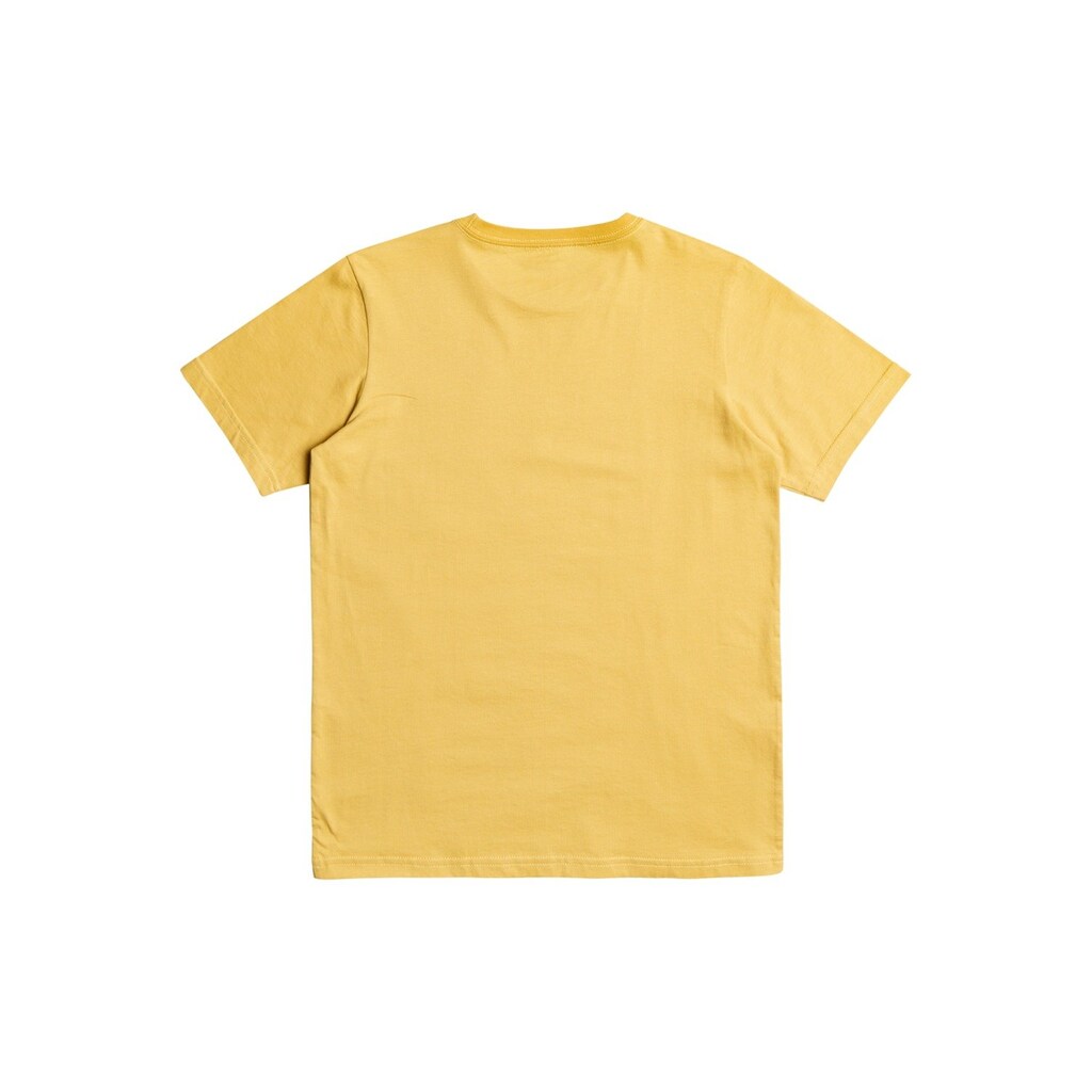 Quiksilver T-Shirt »Like Gold«