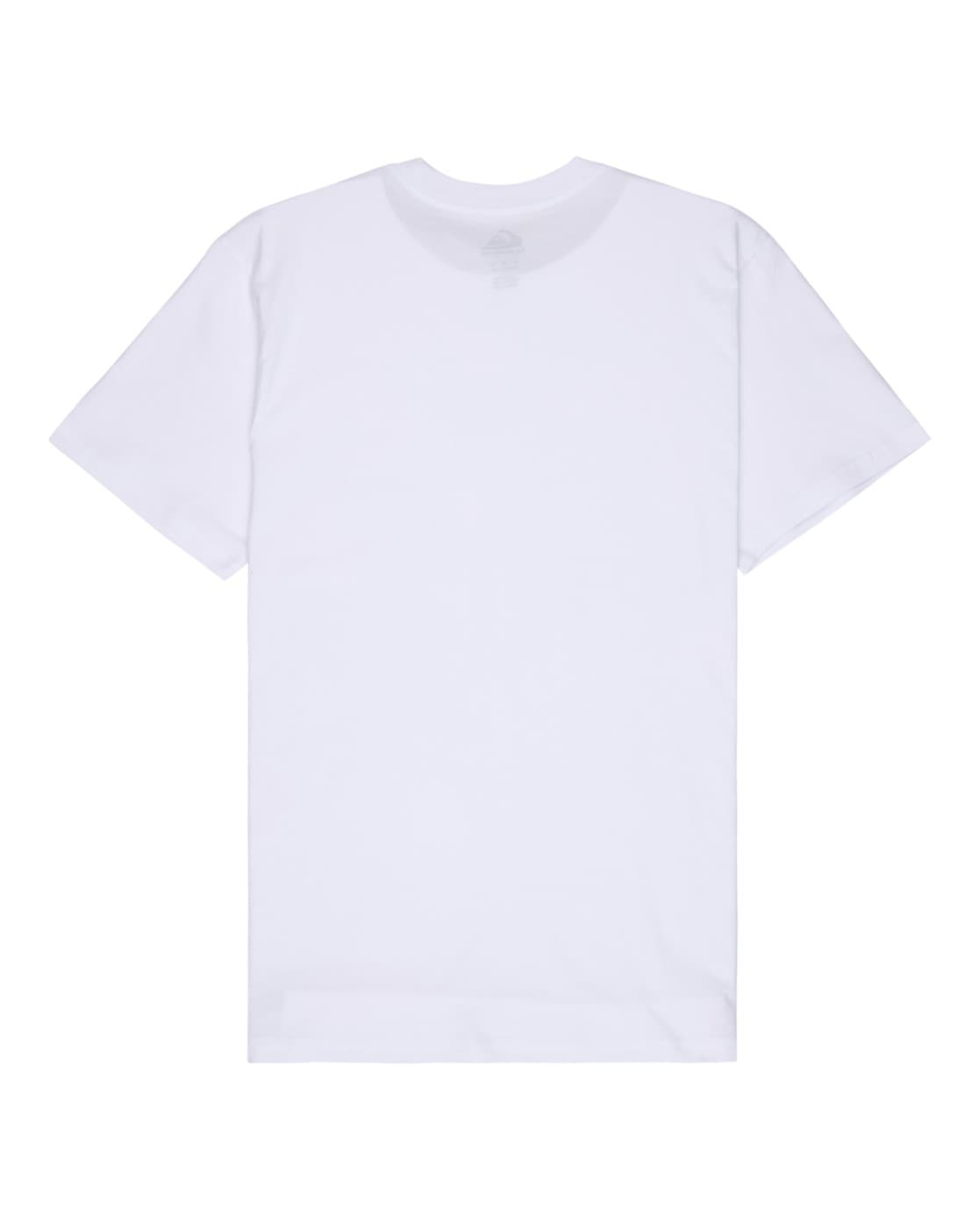 Quiksilver T-Shirt »Salt Water 2024«