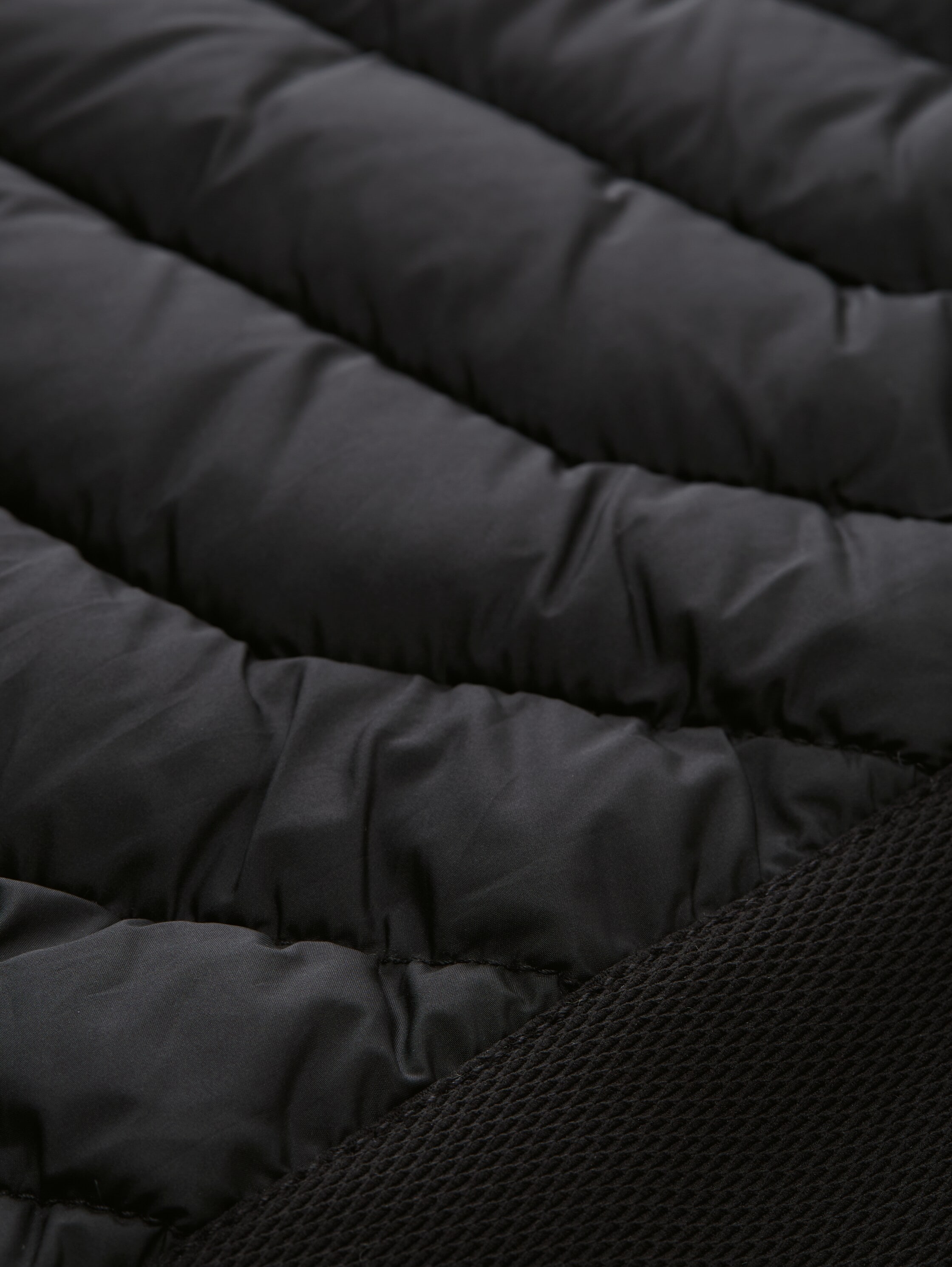 TOM TAILOR Steppjacke, ohne Kapuze, mit Taschen