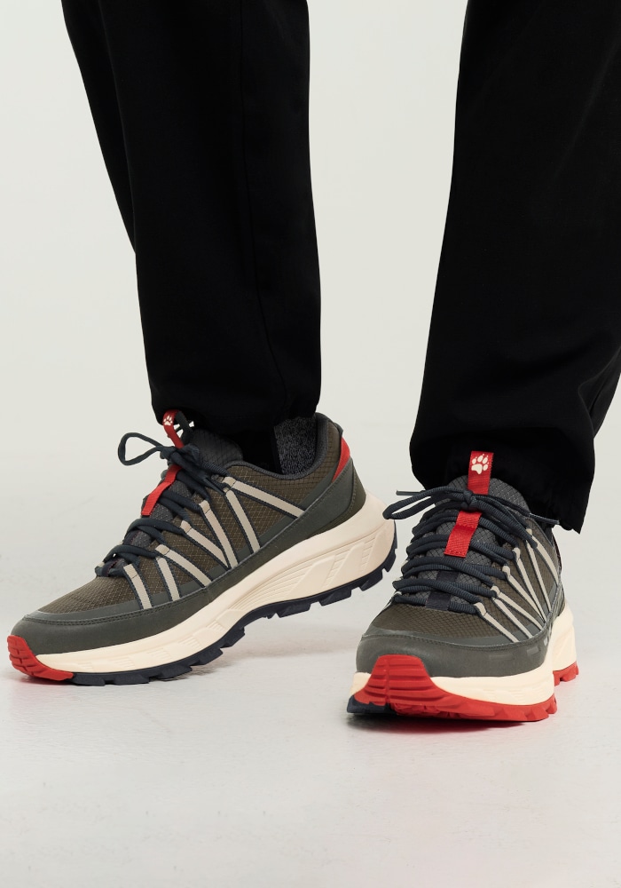 Jack Wolfskin Wanderschuh »WILD HIKE TEXAPORE LOW M«  Outdoorschuh, Trekkingschuh, wasserdicht