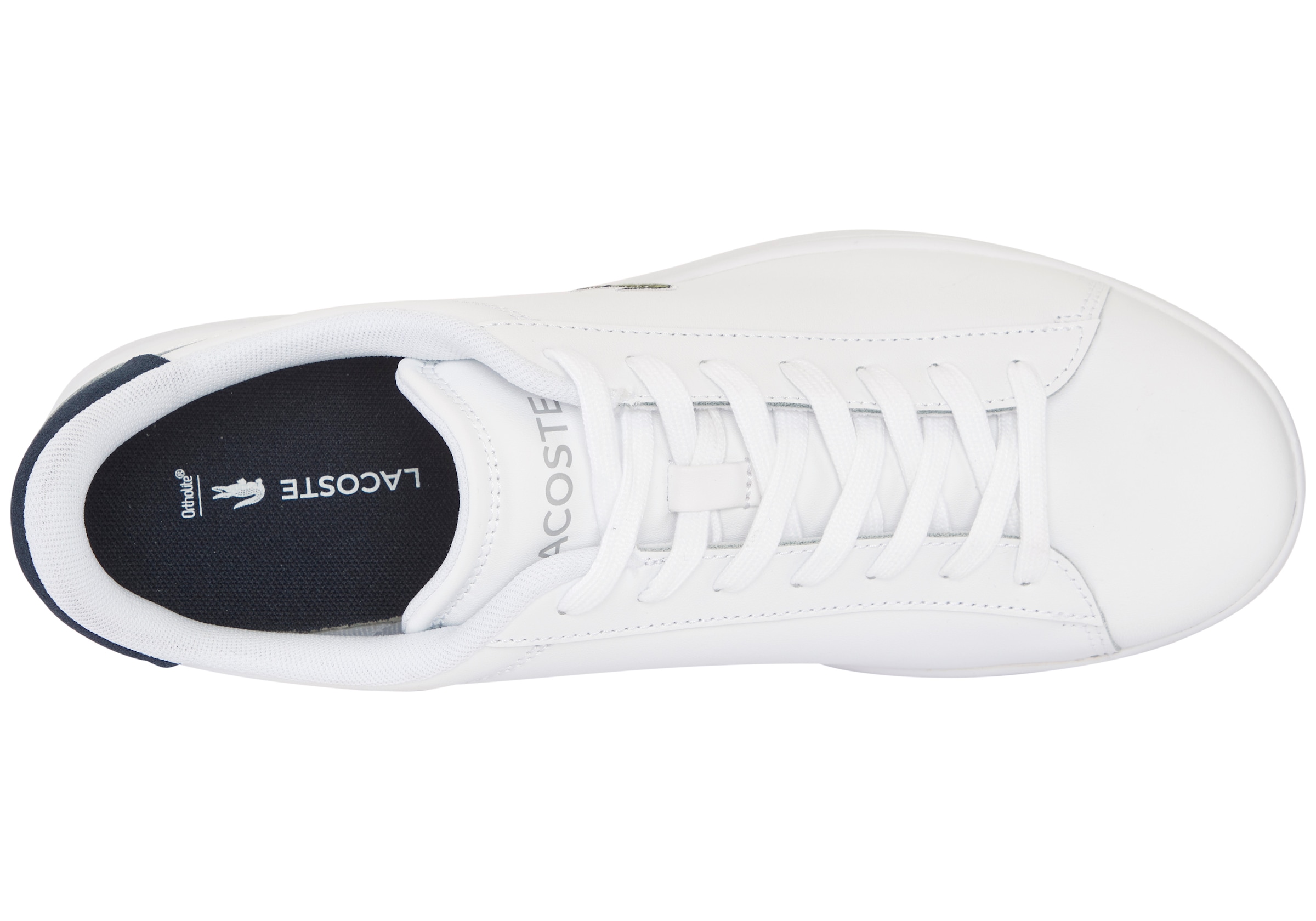 Lacoste Sneaker »CARNABY SET«