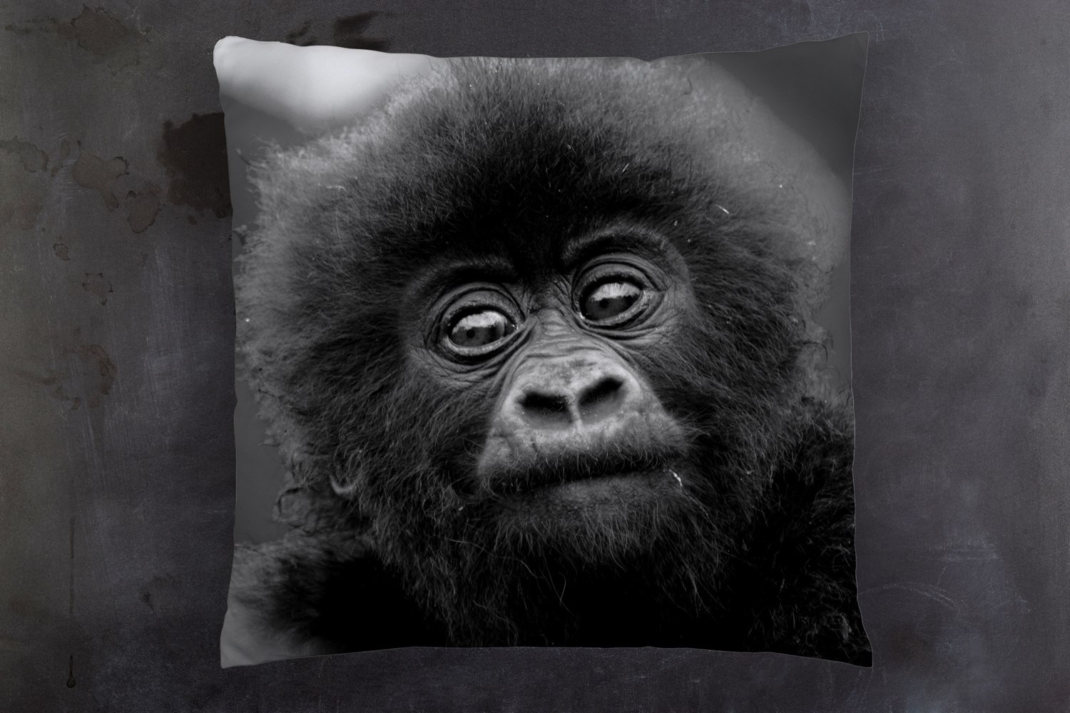 queence Dekokissen »Affen Baby«, Kissenhülle mit HD Premium Druck, geruchsneutral, 40x40cm