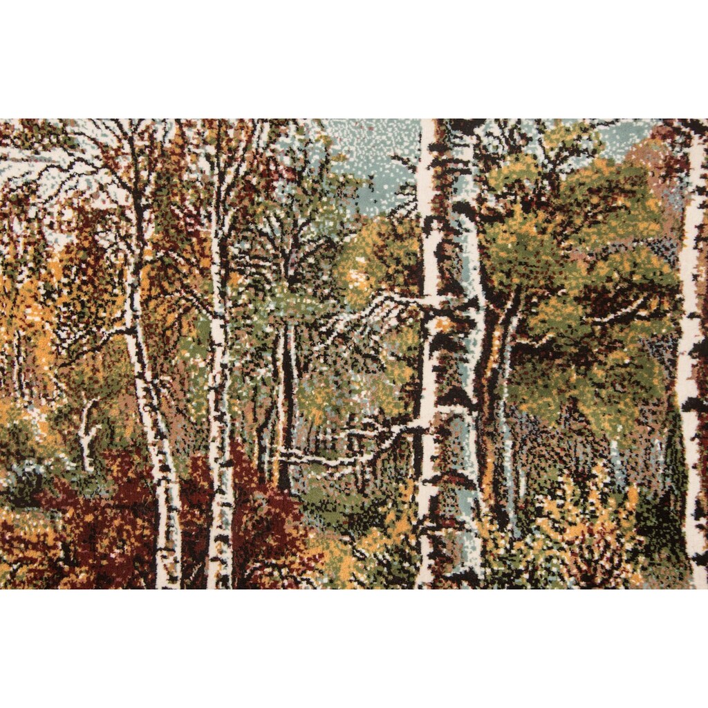 morgenland Wandteppich »Bild-Teppich Figurativ 110 x 82 cm«, rechteckig