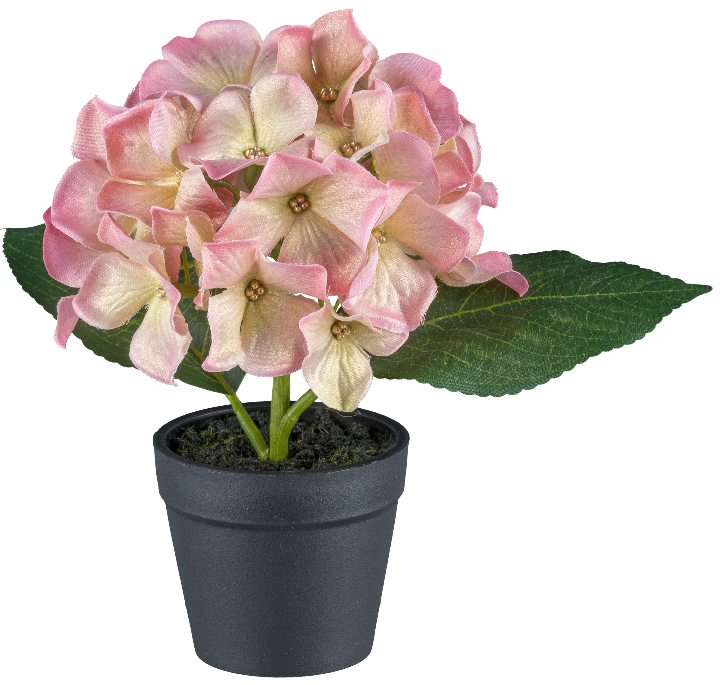 Creativ green Kunstblume »Mini-Hortensie in Pastellfarben« mit Glitzerschimmer