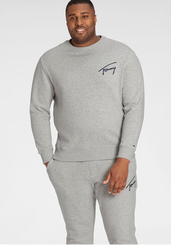Tommy Jeans Plus Sweatshirt »TJM PLUS SIGNATURE CREW« kaufen