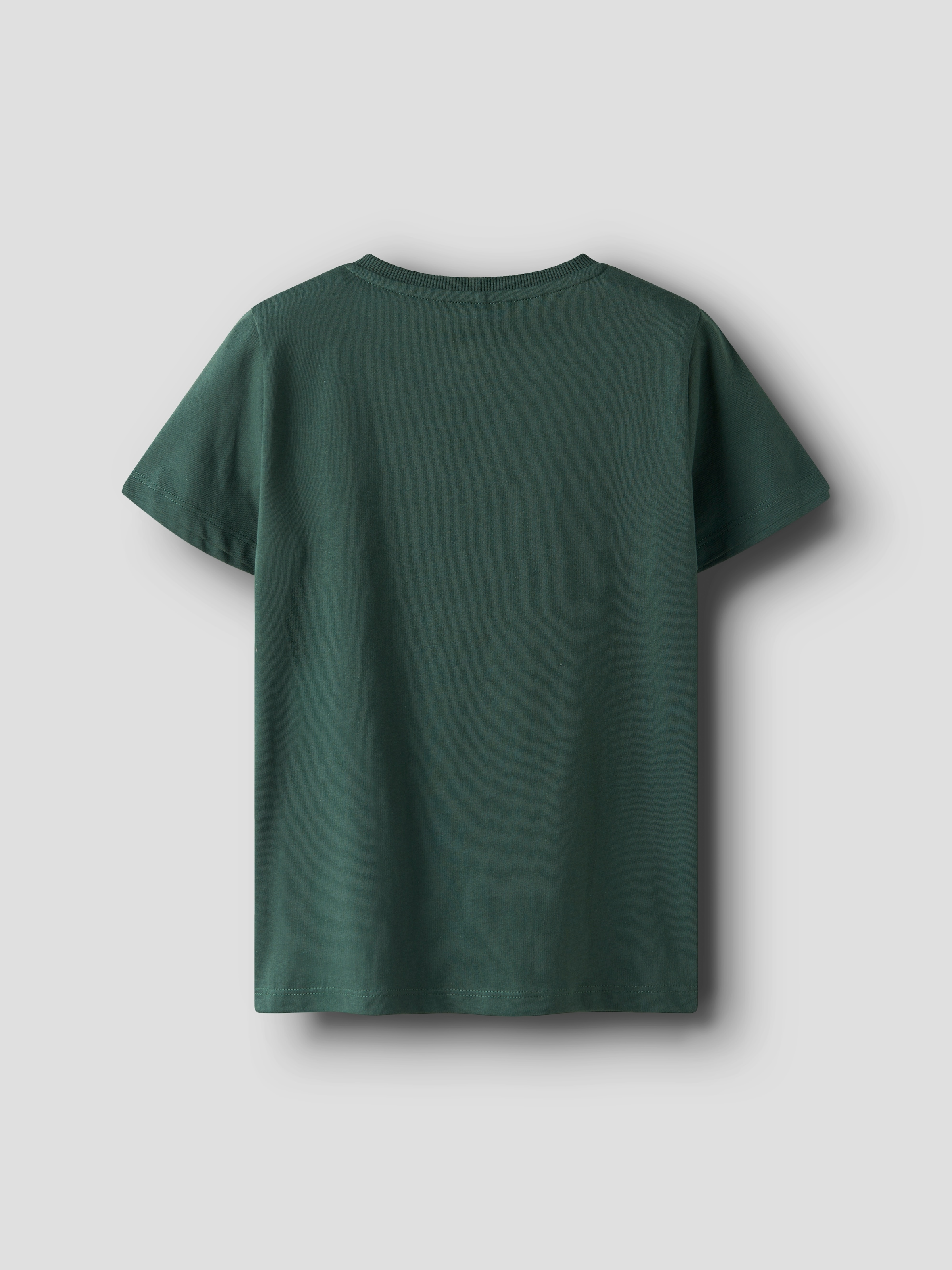 Name It T-Shirt »NKMLORNE SS TOP«