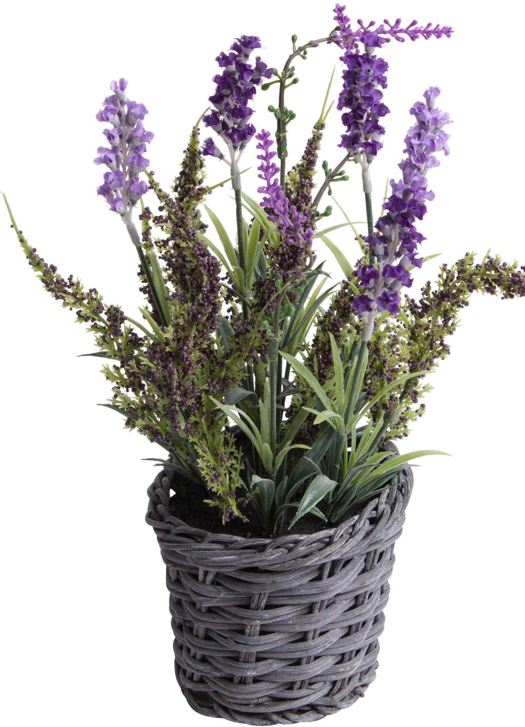 Botanic-Haus Künstliche Zimmerpflanze »Lavendel - Erika Arrangement im Korb«