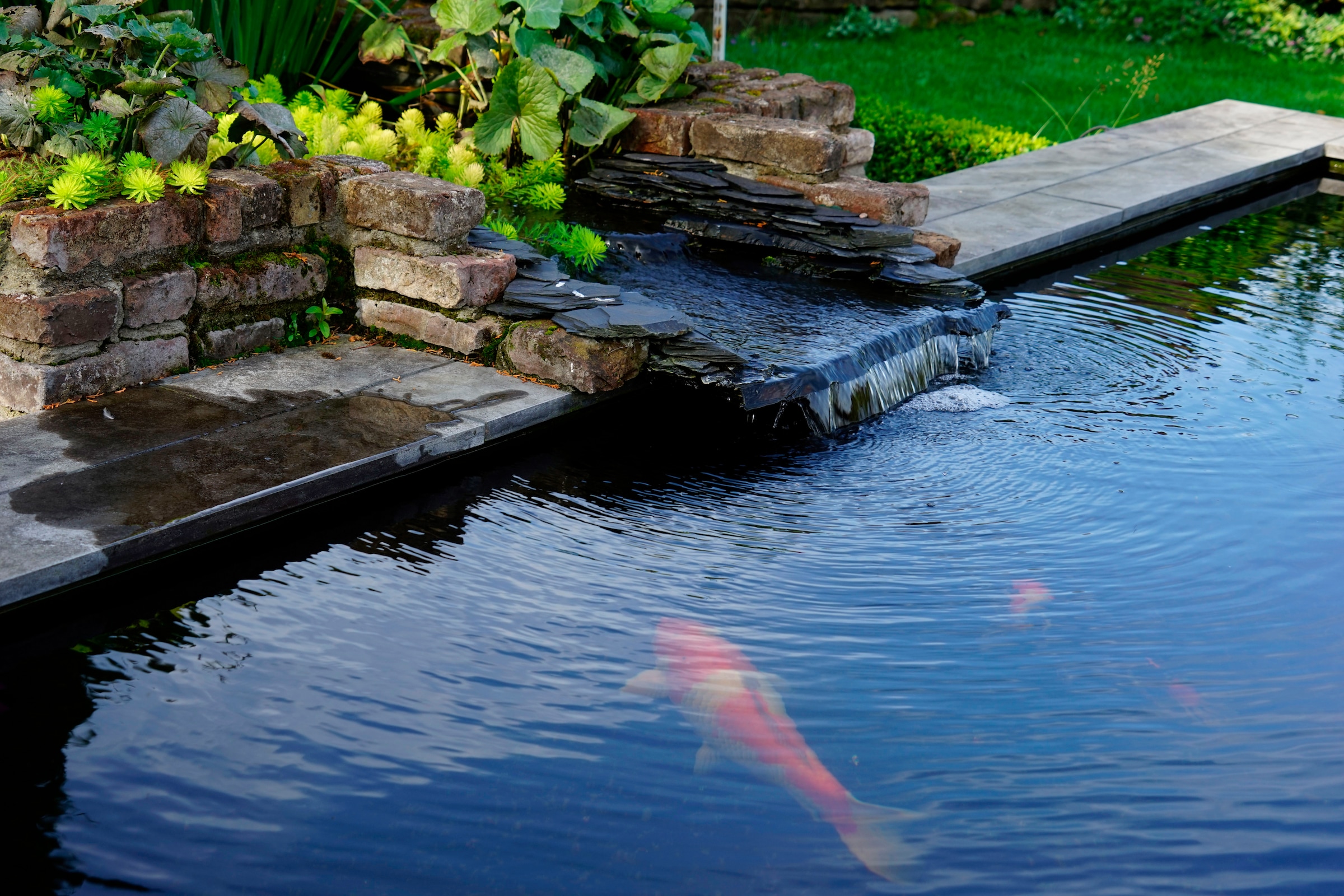 Ubbink Filterpumpe »Smartmax 10000Fi« 9.350 l/h