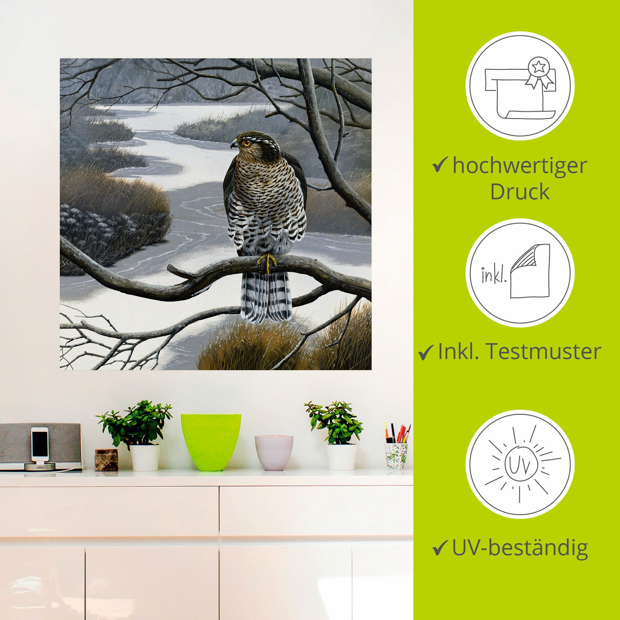 Artland Wandbild »Falke im Baum«, Vögel, (1 St.), als Leinwandbild, Wandaufkleber in verschied. Größen