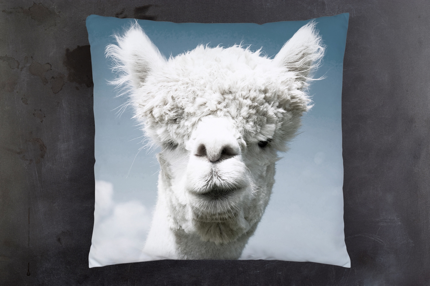 queence Dekokissen »Alpaka«, Kissenhülle mit HD Premium Druck, geruchsneutral, 40x40cm