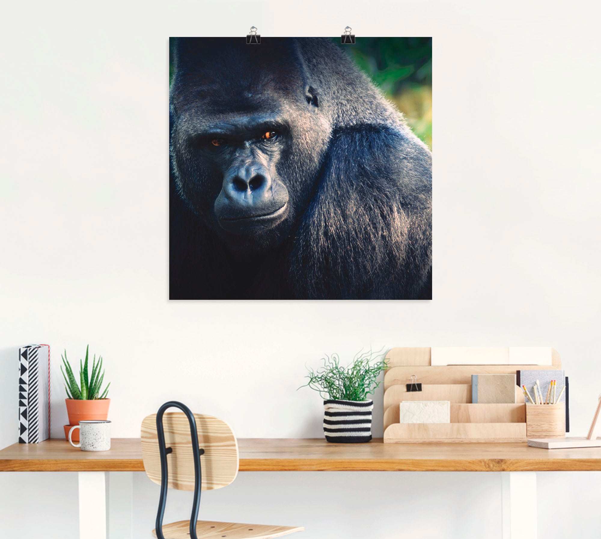 Artland Poster »Gorilla«, Wildtiere, (1 St.), als Leinwandbild, Wandaufkleber oder Poster in versch. Größen