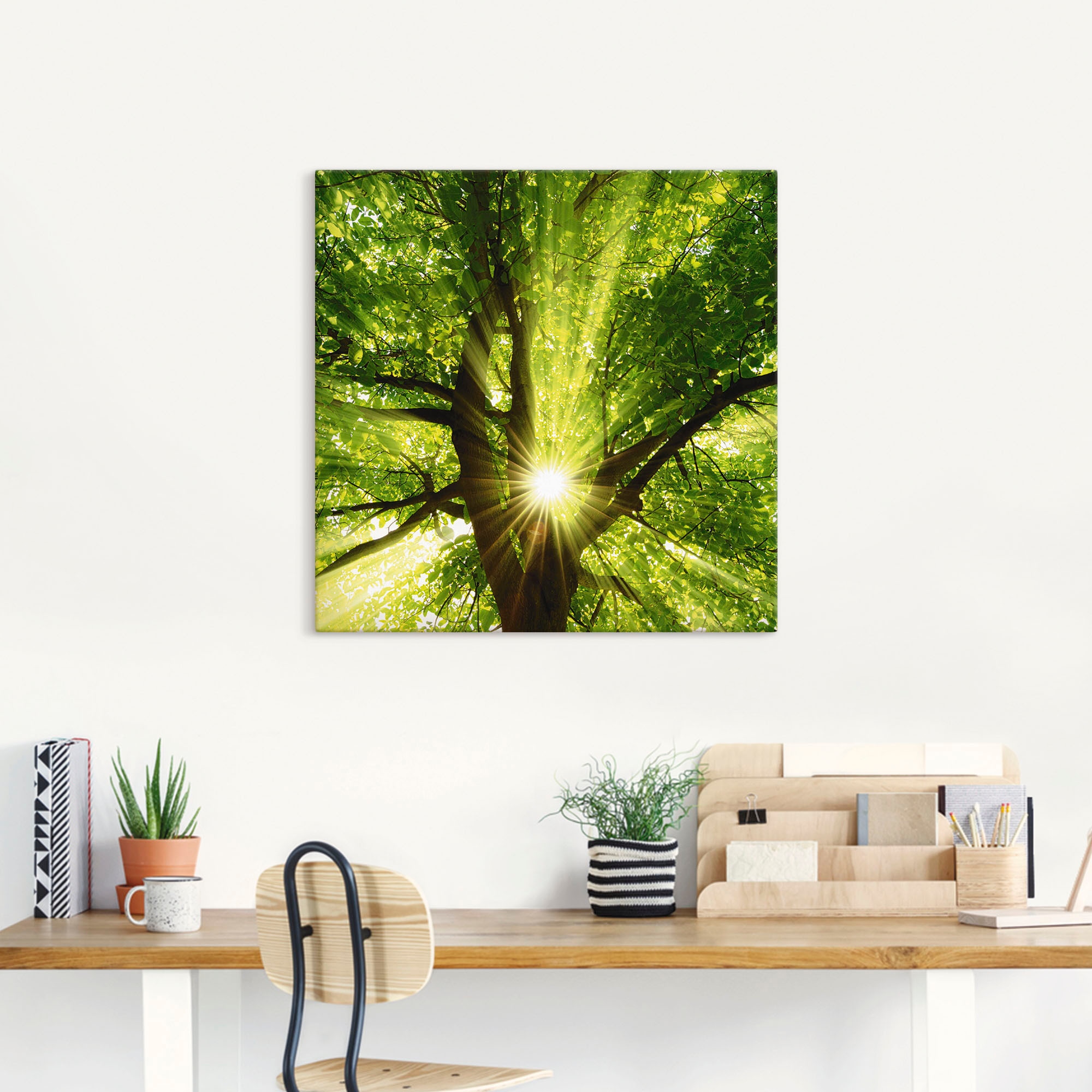 Artland Wandbild »Sonne strahlt explosiv durch den Baum« Bäume 1 Stk. tlg. als Leinwandbild, Poster in verschied. Größen