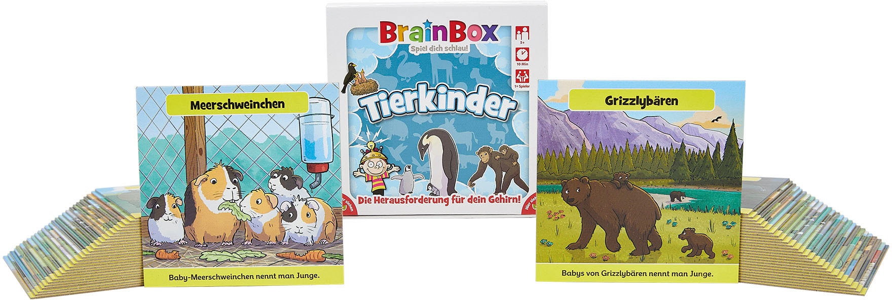 BrainBox Spiel »Tierkinder«