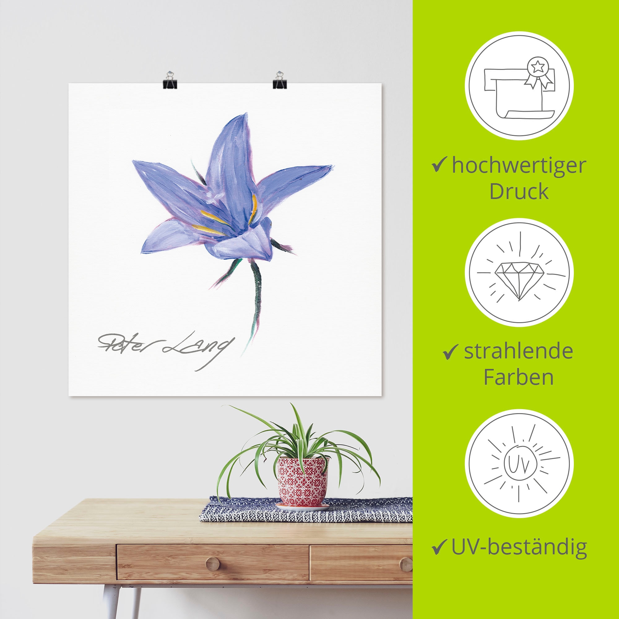 Artland Poster »Blume_weiß II«, Blumen, (1 St.), als Alubild, Leinwandbild, Wandaufkleber oder Poster in versch. Größen