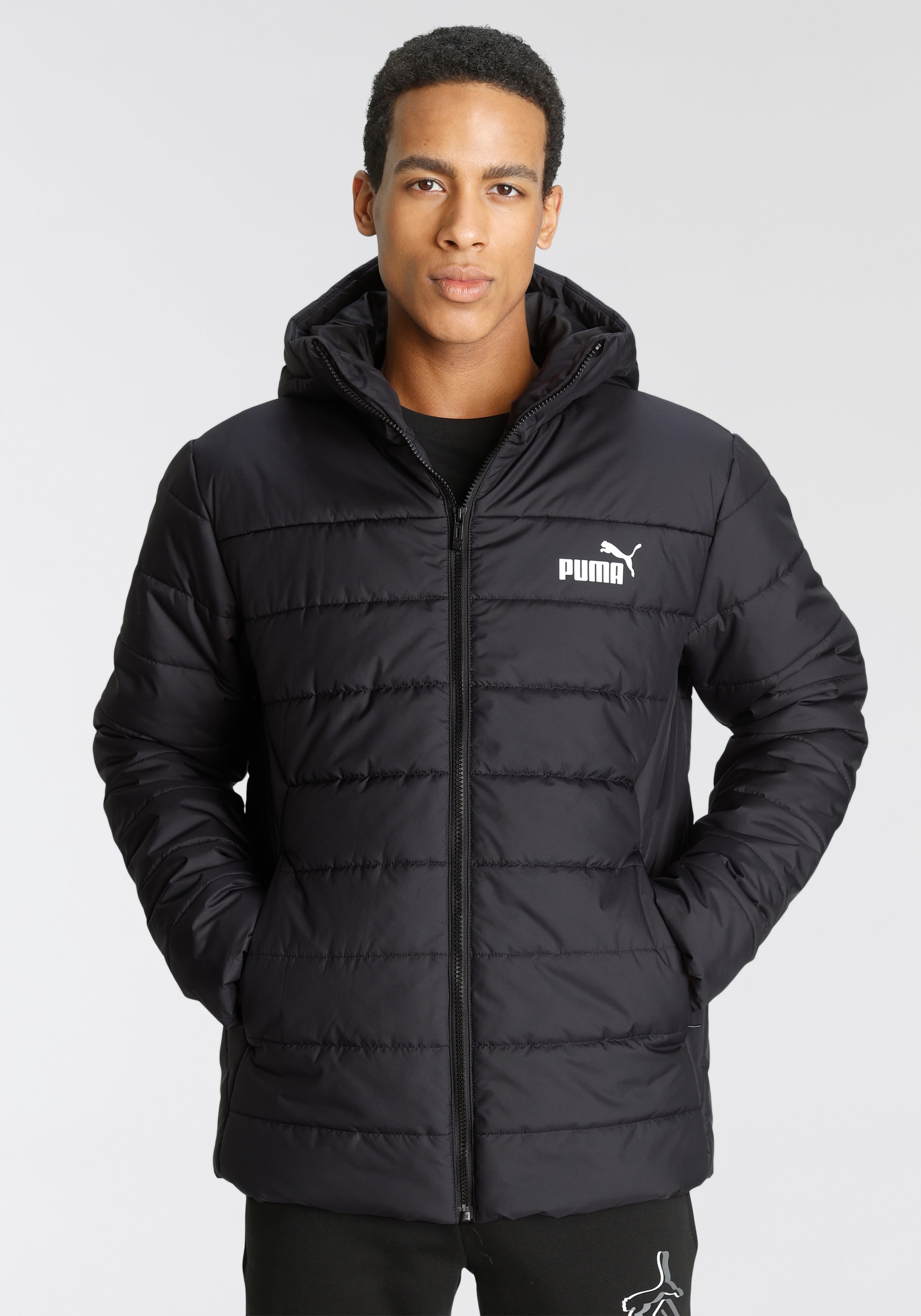 Steppjacke »ESS HOODED PADDED JACKET«, mit Kapuze