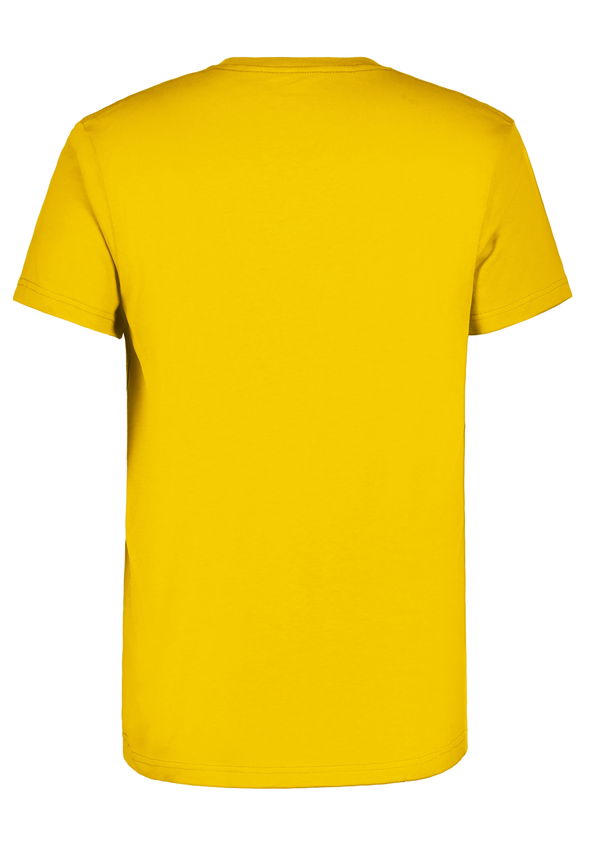 Icepeak T-Shirt »MOSBACH« mit Print, aus Baumwolle, klassischer T-Shirt-Schnitt