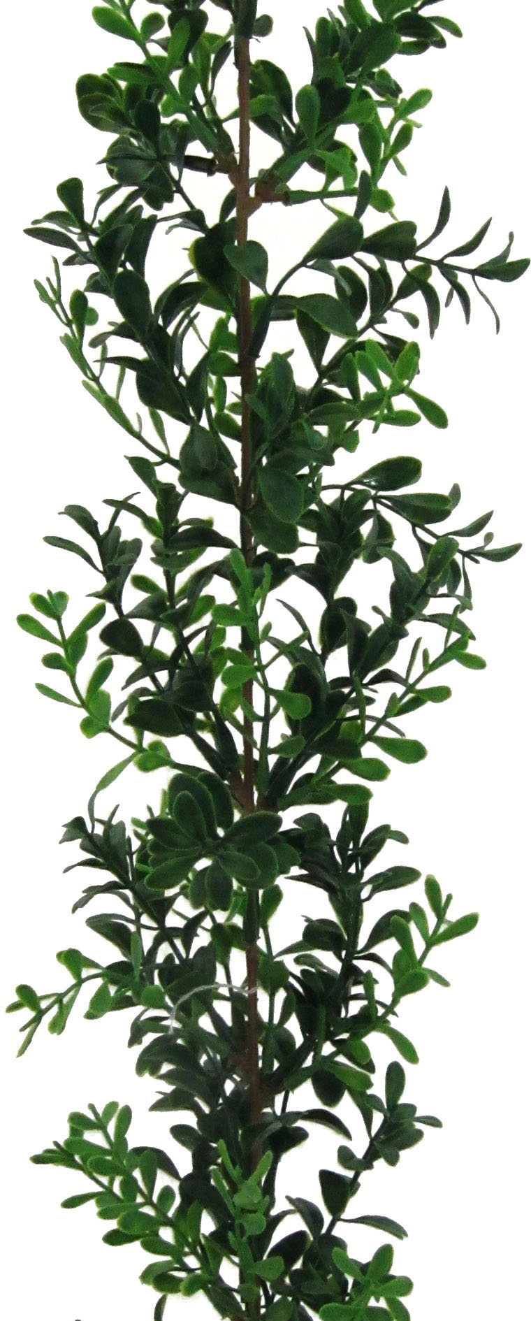 Creativ green Kunstgirlande »Buchsbaumgirlande«
