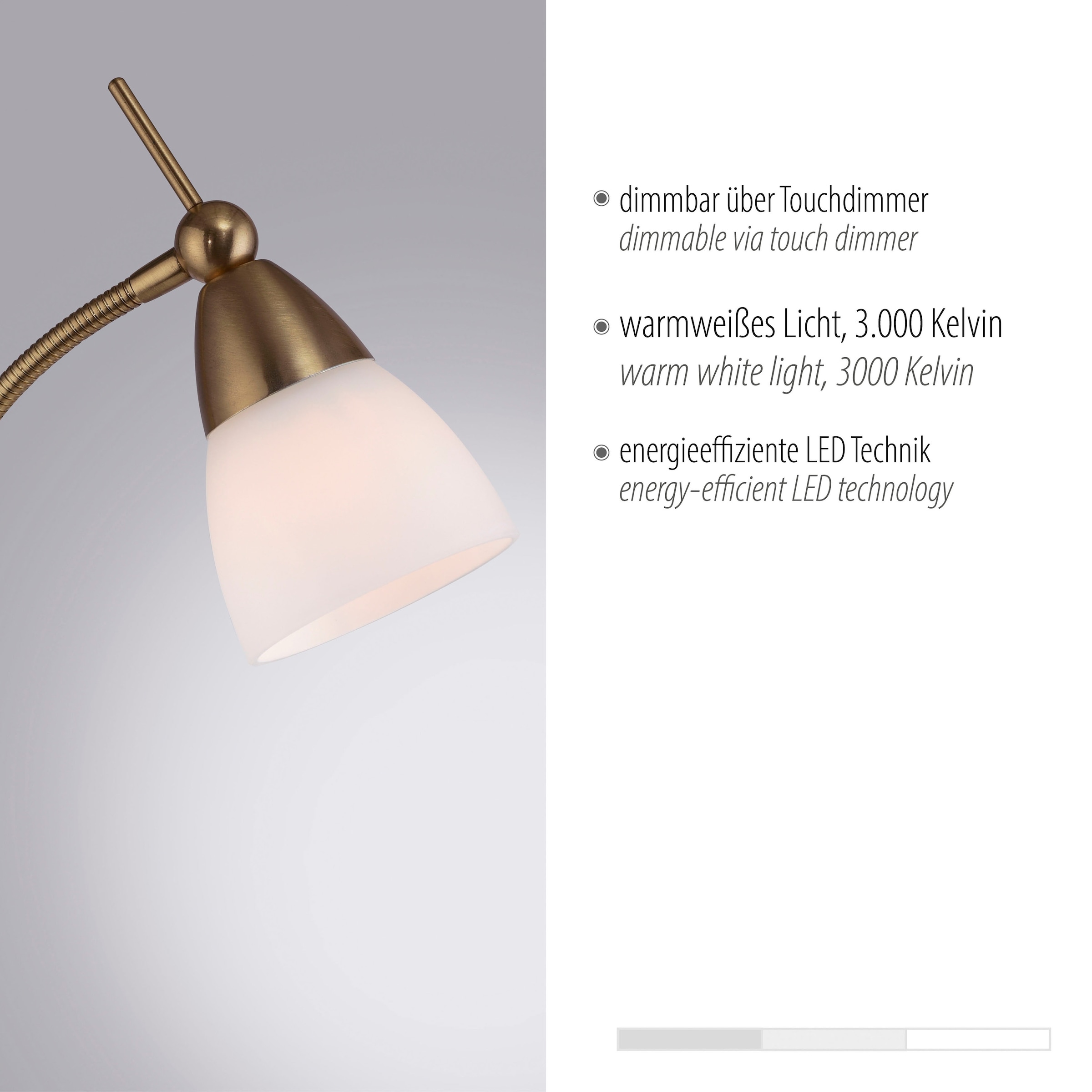 Paul Neuhaus Stehlampe »PINO«, 1 flammig, Leuchtmittel G9 | LED wechselbar