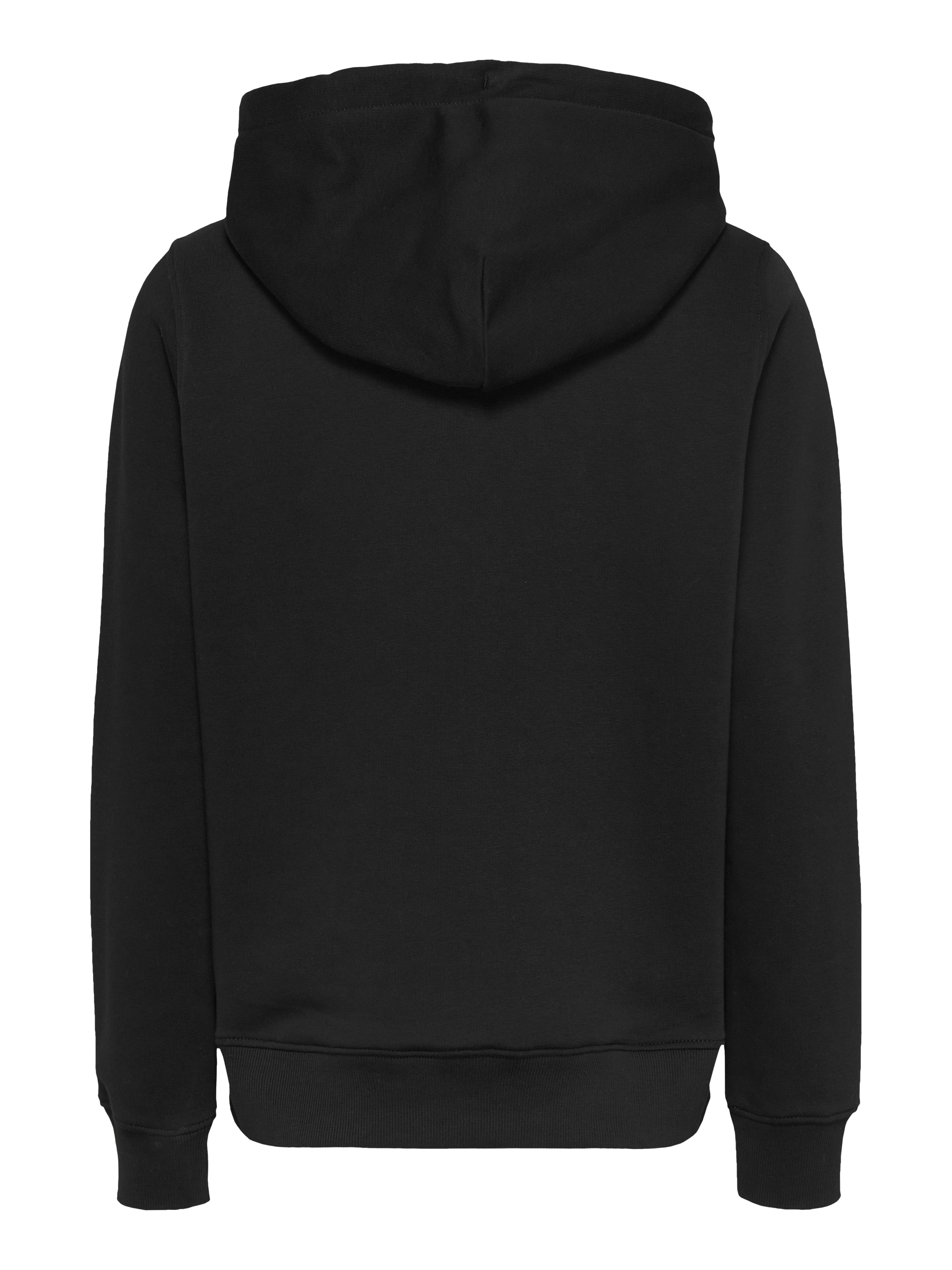 Tommy Jeans Curve Kapuzensweatshirt »TJW REG TONAL LINEAR HOODIE EXT«, in Großen Größen, Kapuze, Logostickerei