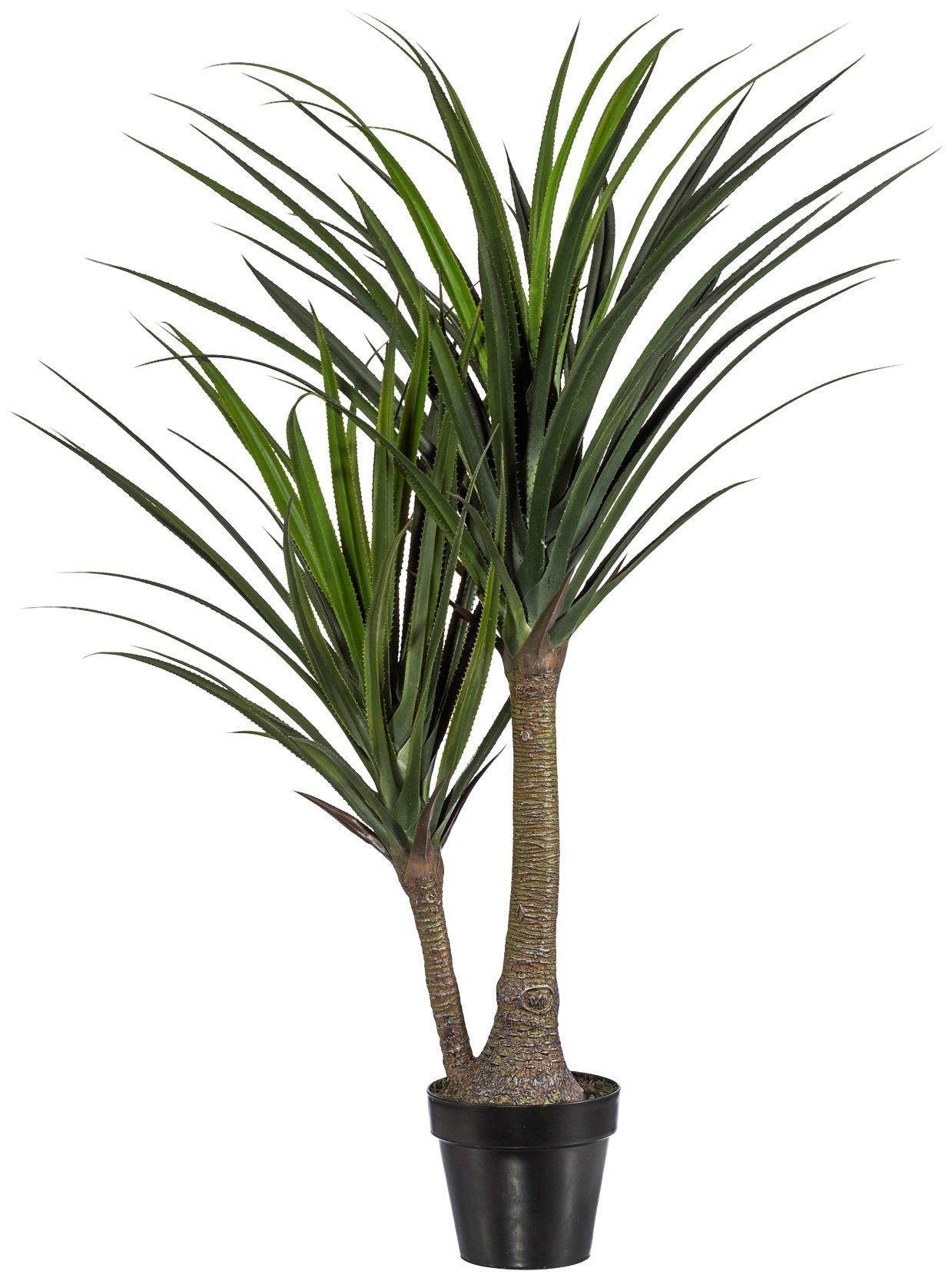 Creativ green Kunstpflanze »Pandanus«, (1 St.), im Kunststofftopf bestellen  online bei OTTO | Kunstpflanzen