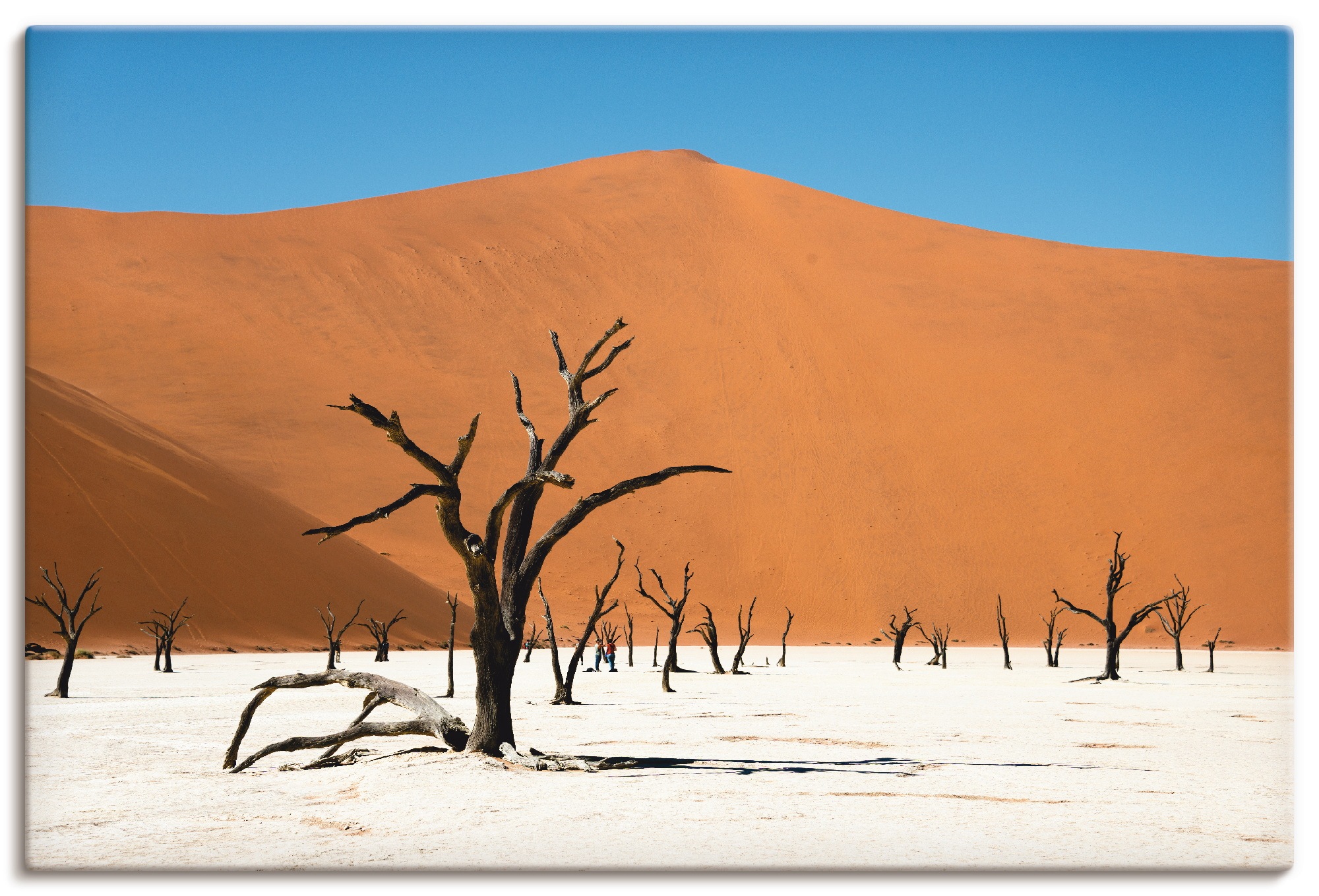 Artland Wandbild »Abgestorbene Kameldornbäume«, Wüste, (1 St.), in vielen Größen & Produktarten - Alubild / Outdoorbild für den Außenbereich, Leinwandbild, Poster, Wandaufkleber / Wandtattoo auch für Badezimmer geeignet