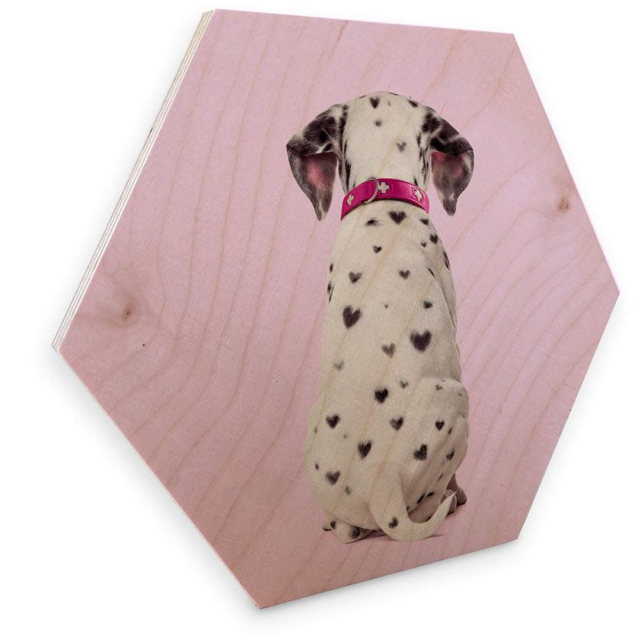Bilder«, Shop Wall-Art Online Hunde OTTO im Holzbild »Dalmatiner Holzbild (1 St.)