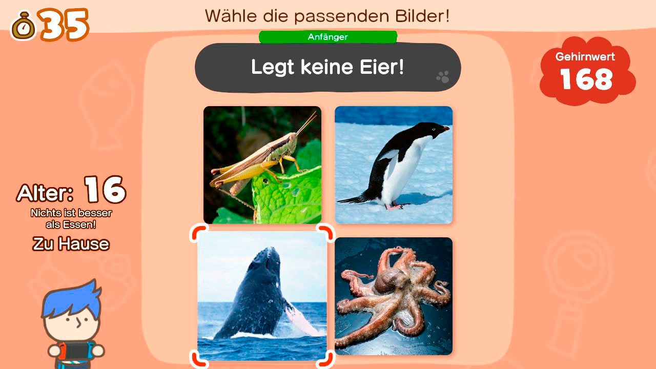 Nintendo Switch Konsolen-Set »OLED + Gratis Big Brain Academy + Everybody 1-2-Switch!«