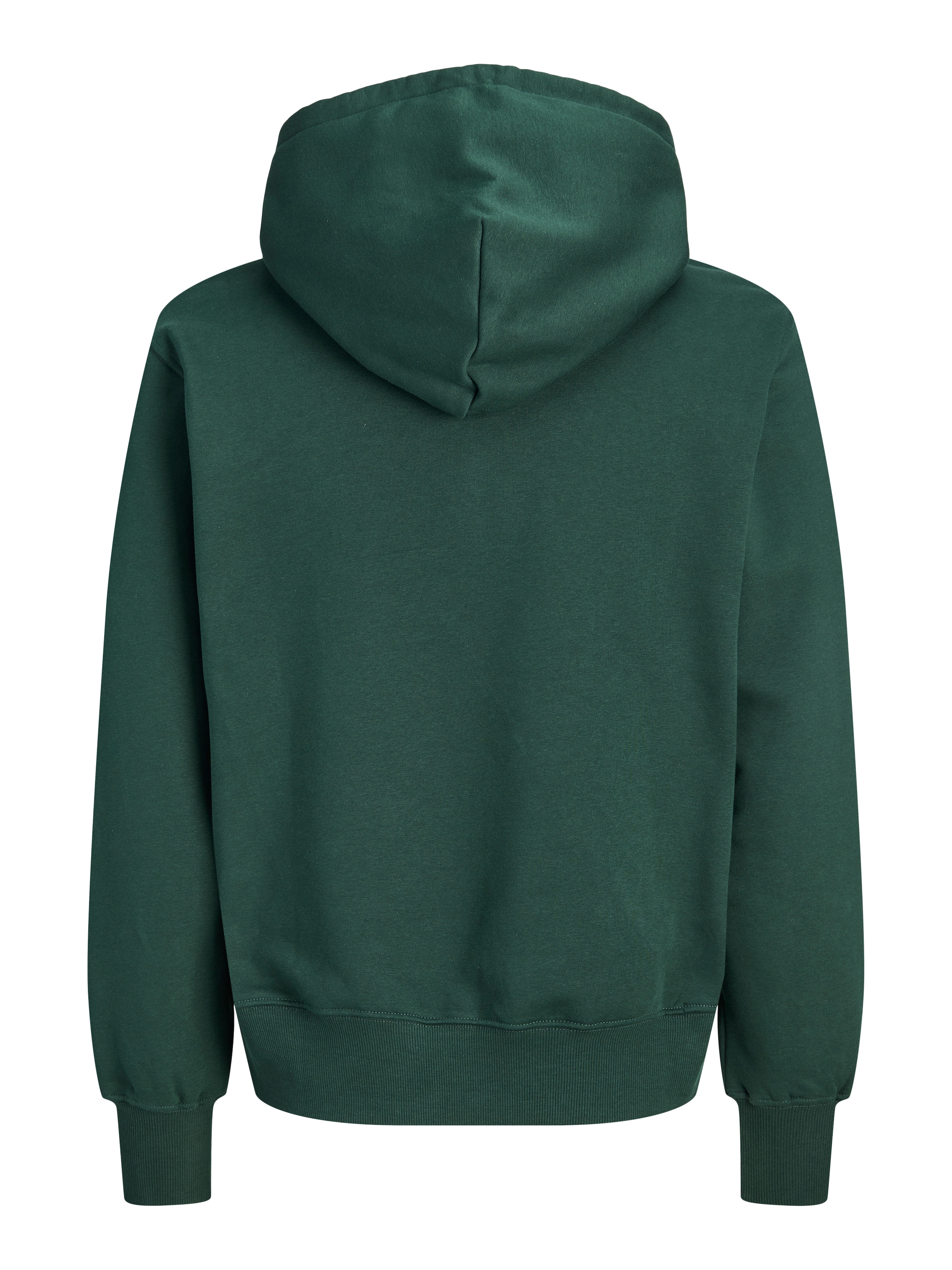 Jack & Jones PlusSize Kapuzensweatshirt »JORFREDERIKSBERG MONOGRAM SWEAT HOOD PLS«, Baumwollmischung, regular fit
