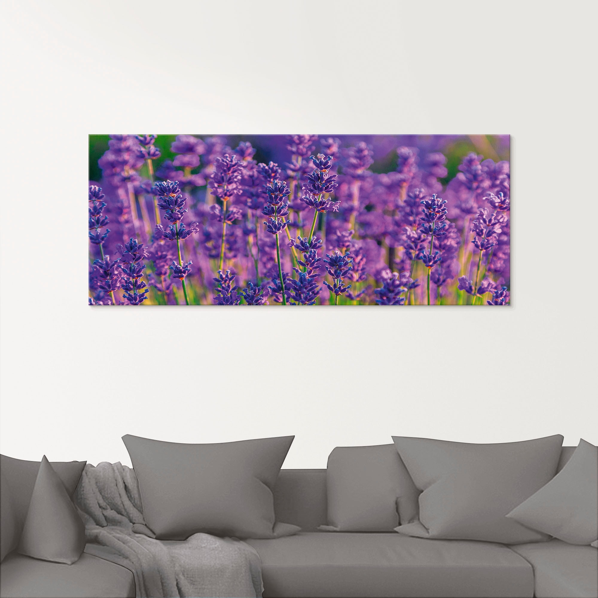 Artland Glasbild »Lavendelfeld in Tihany, Ungarn«, Felder, (1 St.), in verschiedenen Größen