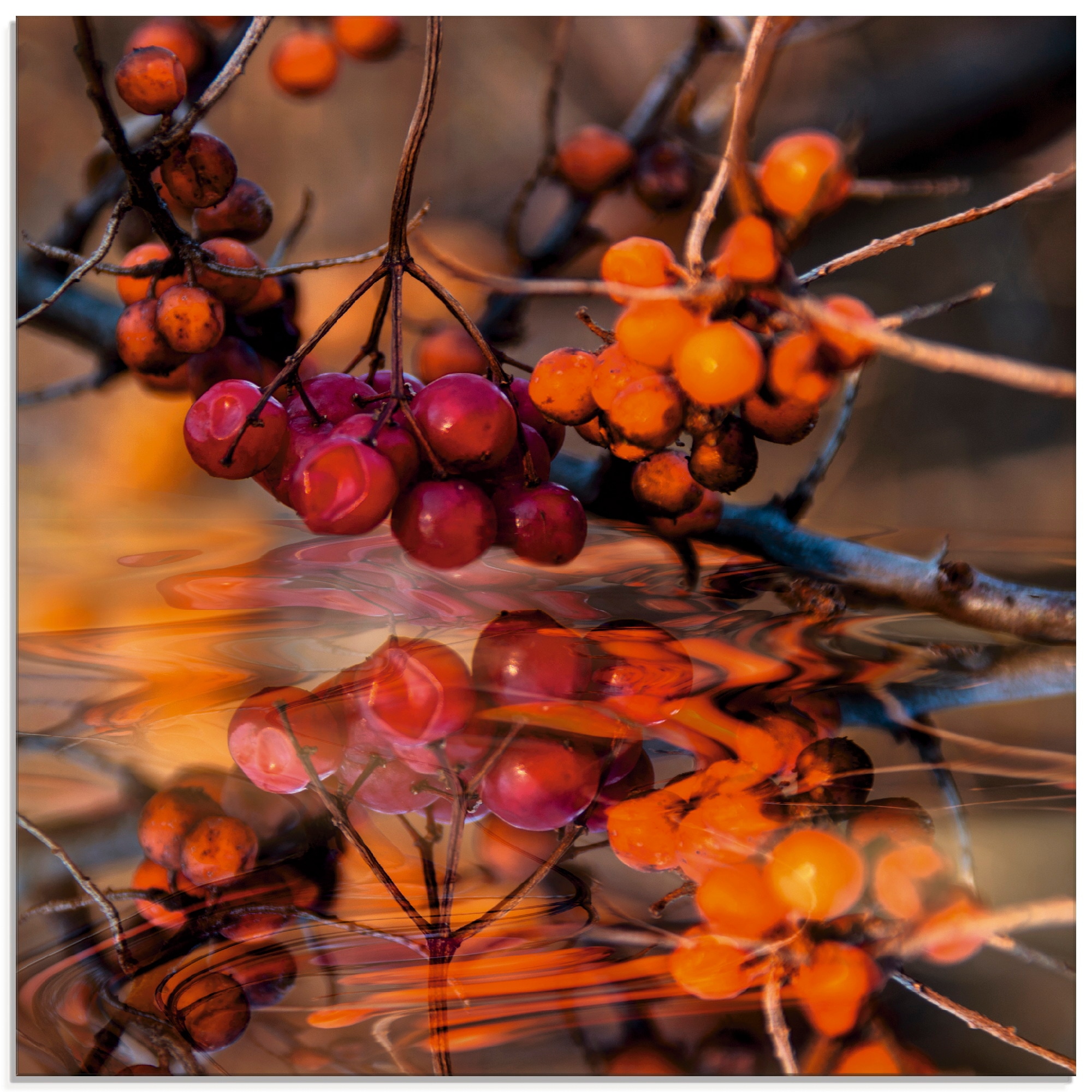 Glasbild »Rote Beeren - Wildbeeren«, Pflanzen, (1 St.), in verschiedenen Größen