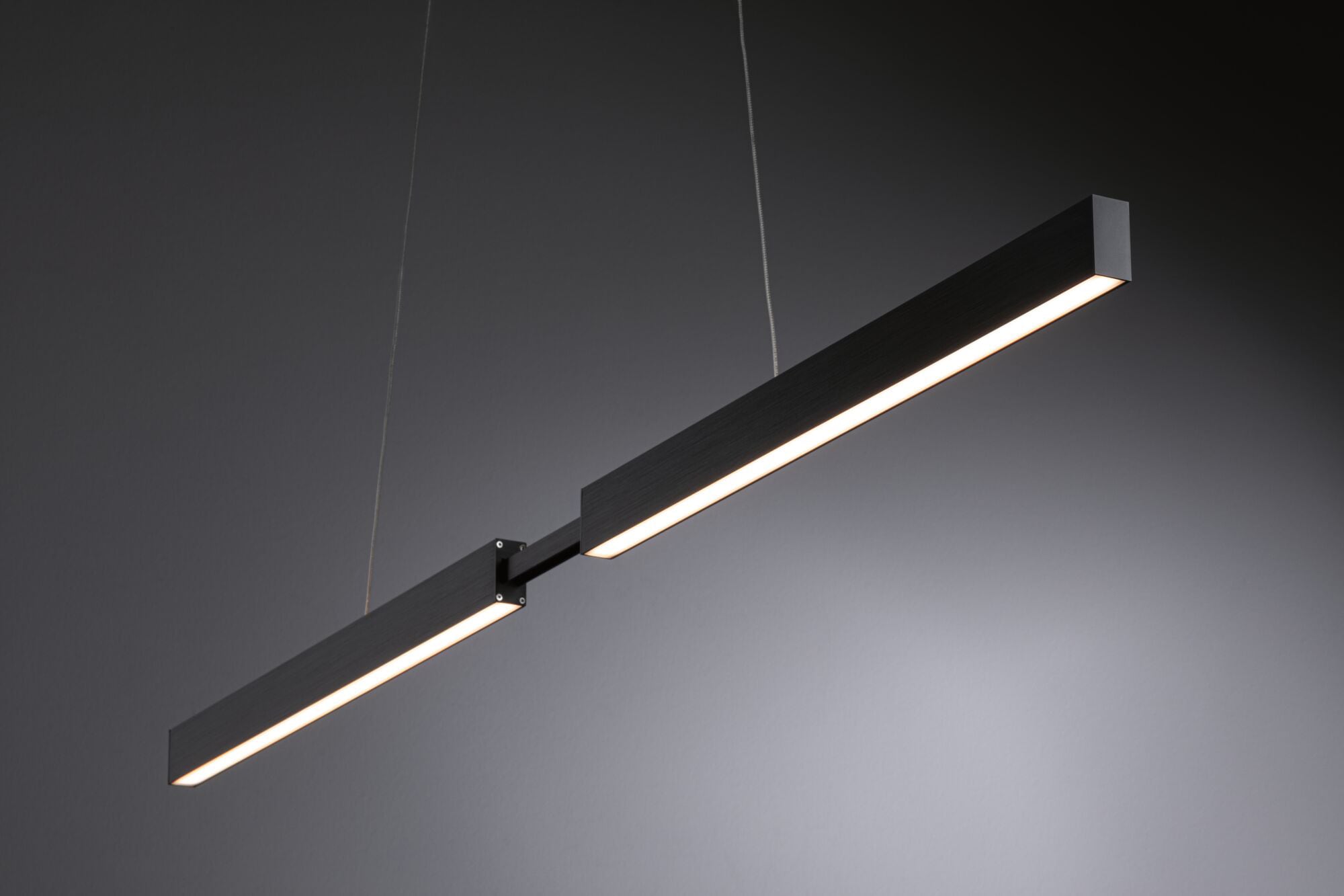 Paulmann LED Pendelleuchte »Aptare«