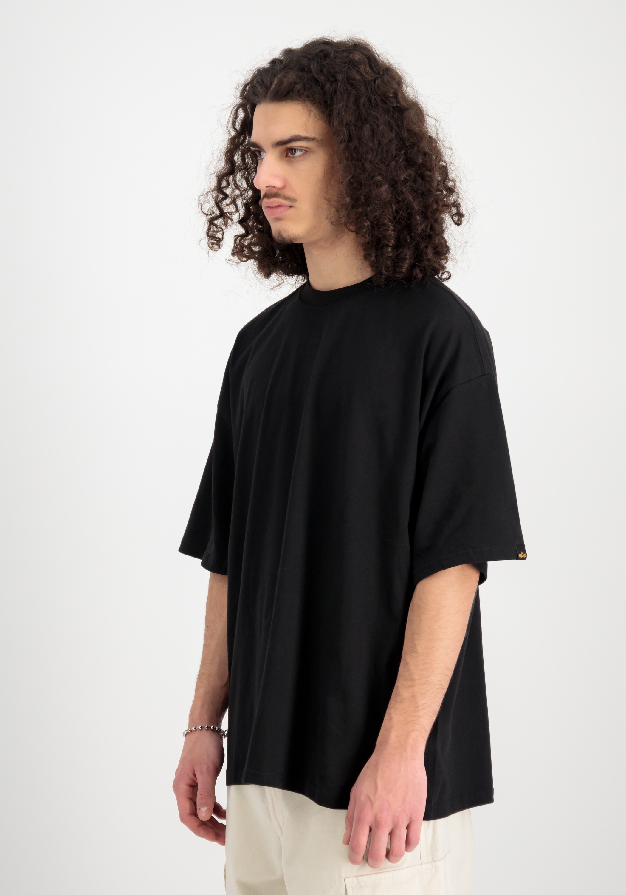 Alpha Industries T-Shirt »Logo Backprint T-Shirt«