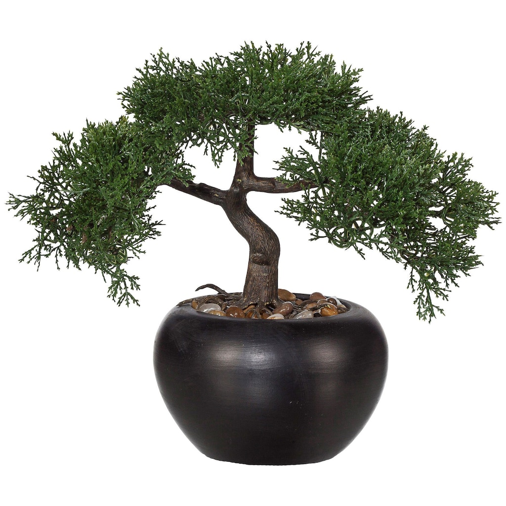 Creativ green Kunstpflanze »Bonsai«