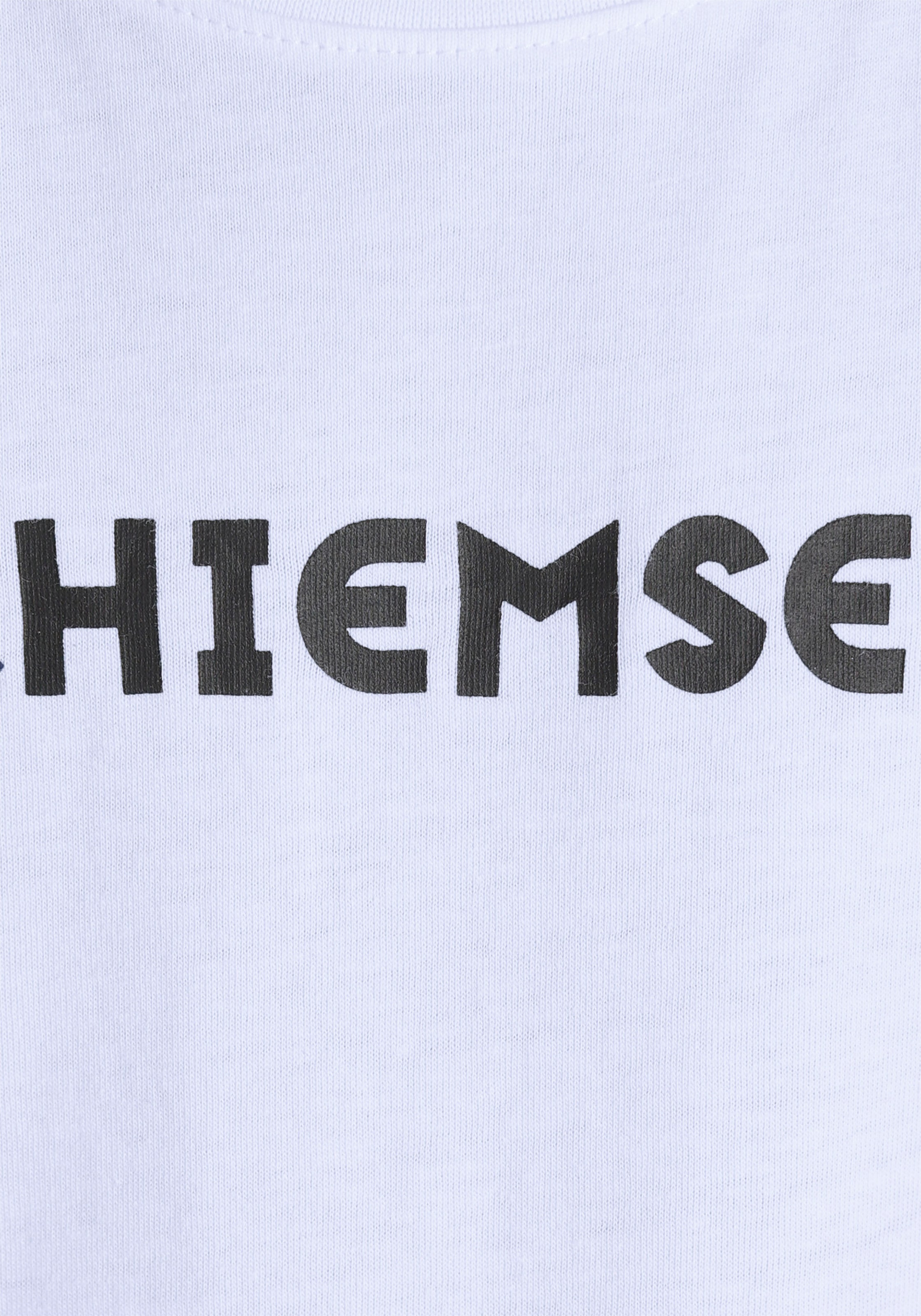 Chiemsee T-Shirt bei »Modischer Farbverlauf« OTTO