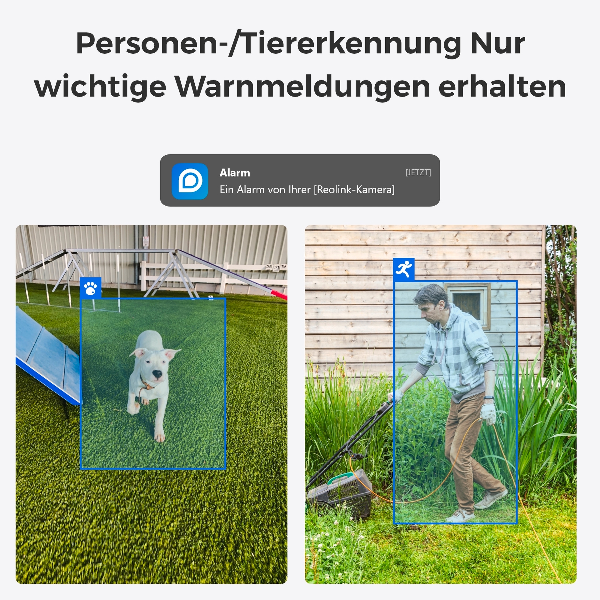 Reolink Überwachungskamera »E Series E340 - 5MP Indoor Wi-Fi Kamera«, Innenbereich, Pan & Tilt, 3X optischer Zoom, Personen-/Tiererkennung, Auto Tracking