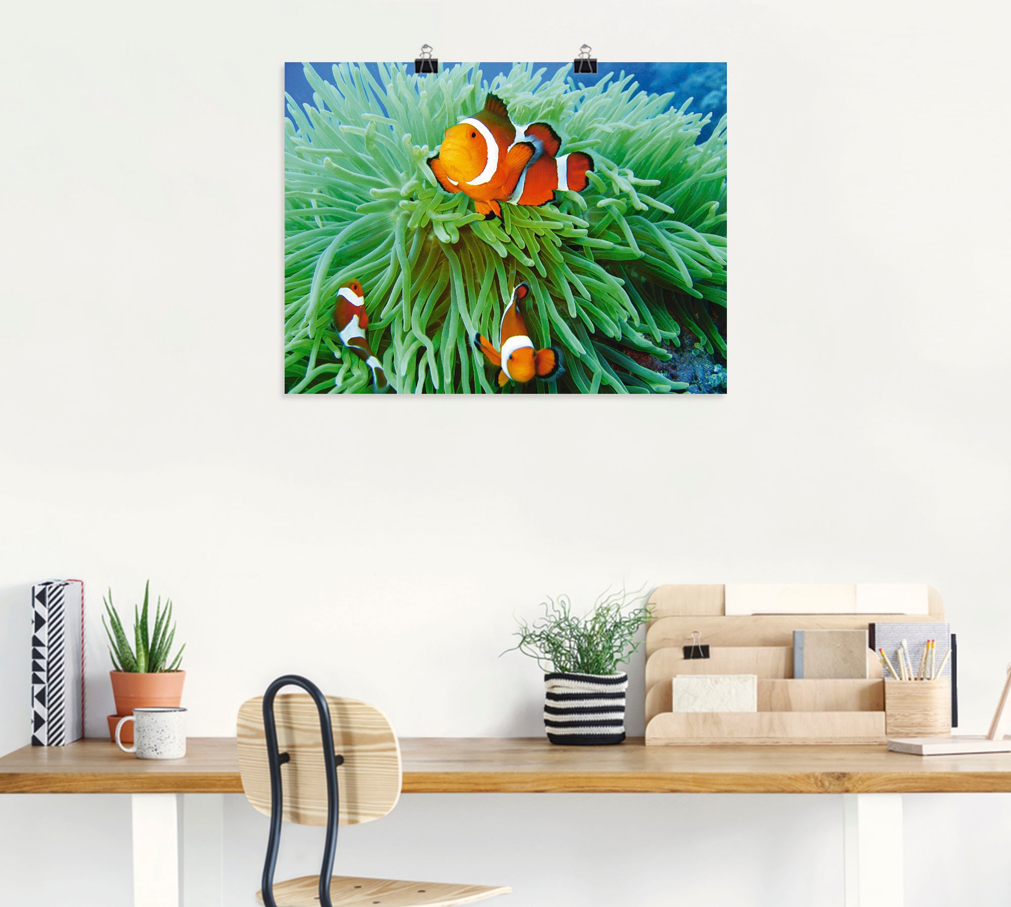 Artland Wandbild »Finde Nemo«, Wassertiere, (1 St.), als Poster, Wandaufkleber in verschied. Größen