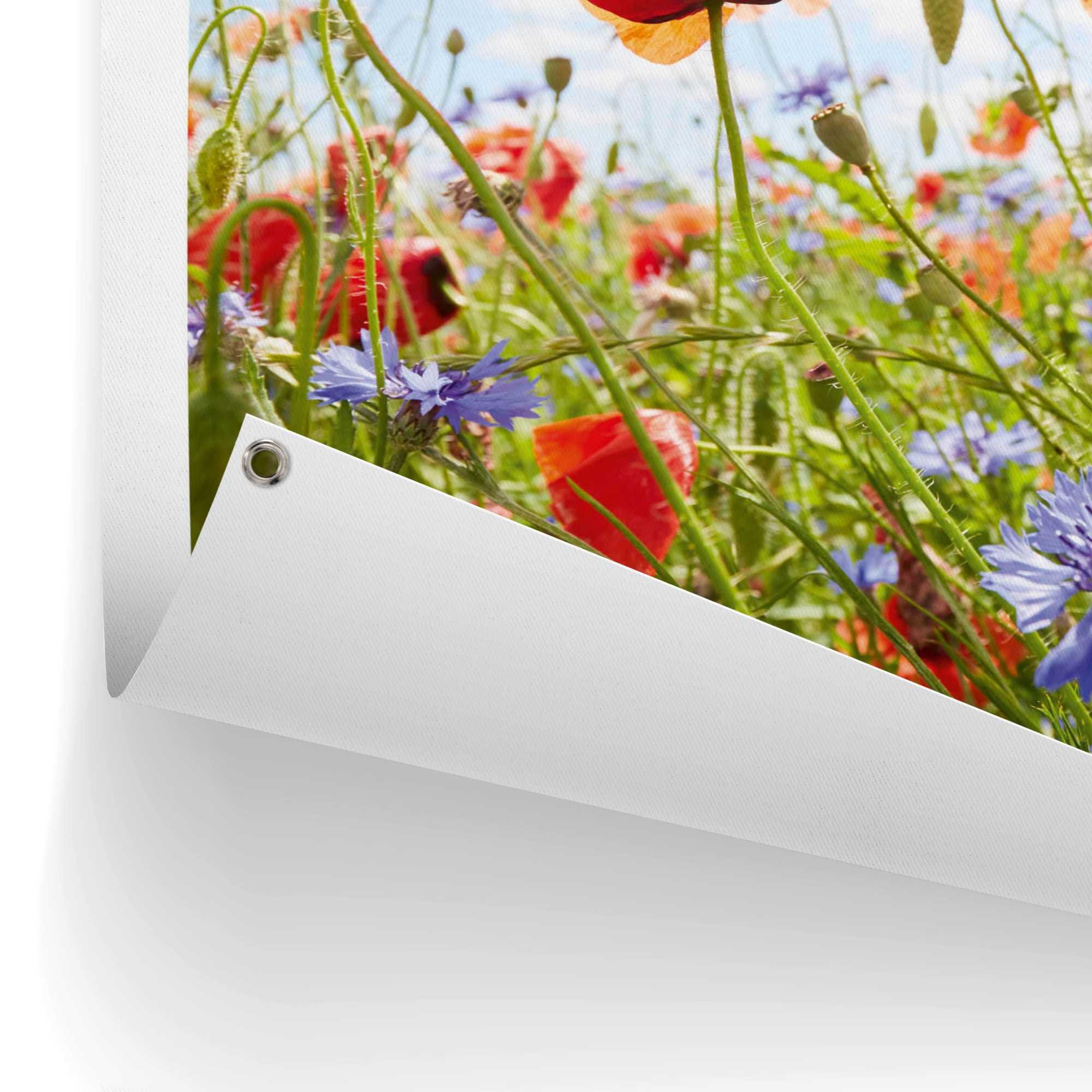 Reinders! Poster »Blumenfeld«, Outdoor für Garten oder Balkon