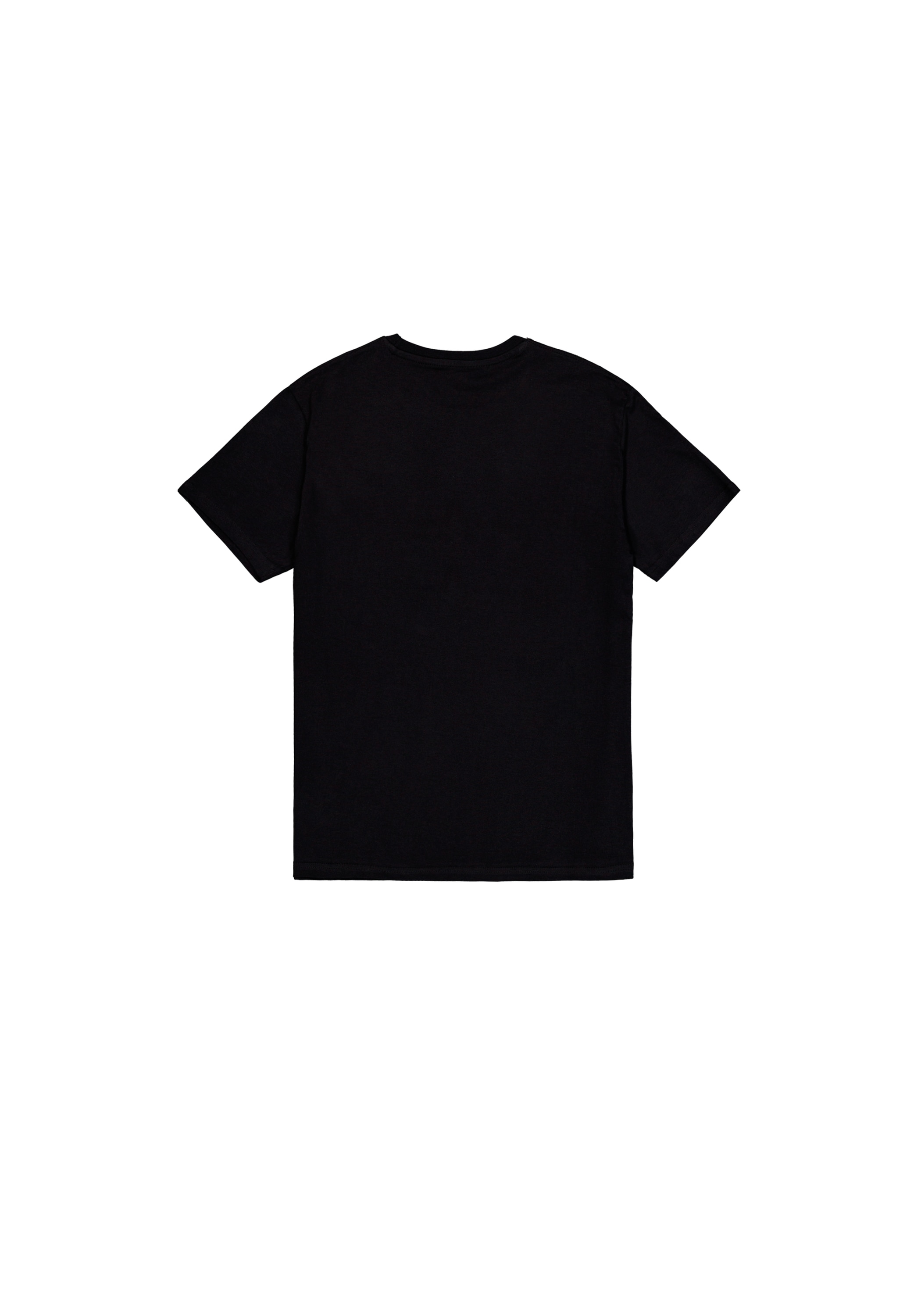 Alpha Industries T-Shirt »Alpha Industries Men - T-Shirts Basic T-Shirt BL V-Neck«