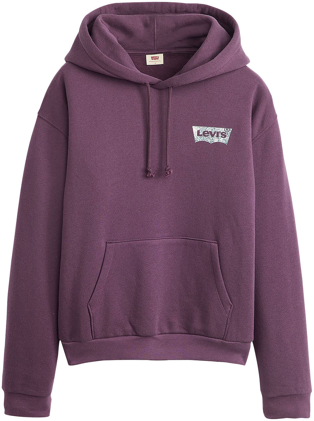 Levi's® Hoodie »GRAPHIC EVERYDAY HOODIE«, mit Kapuze