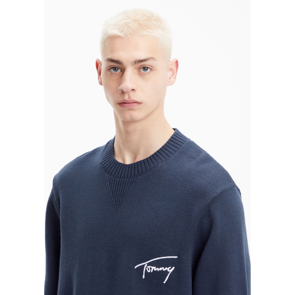 Tommy Jeans Strickpullover »TJM RLXD SIGNATURE SWEATER«