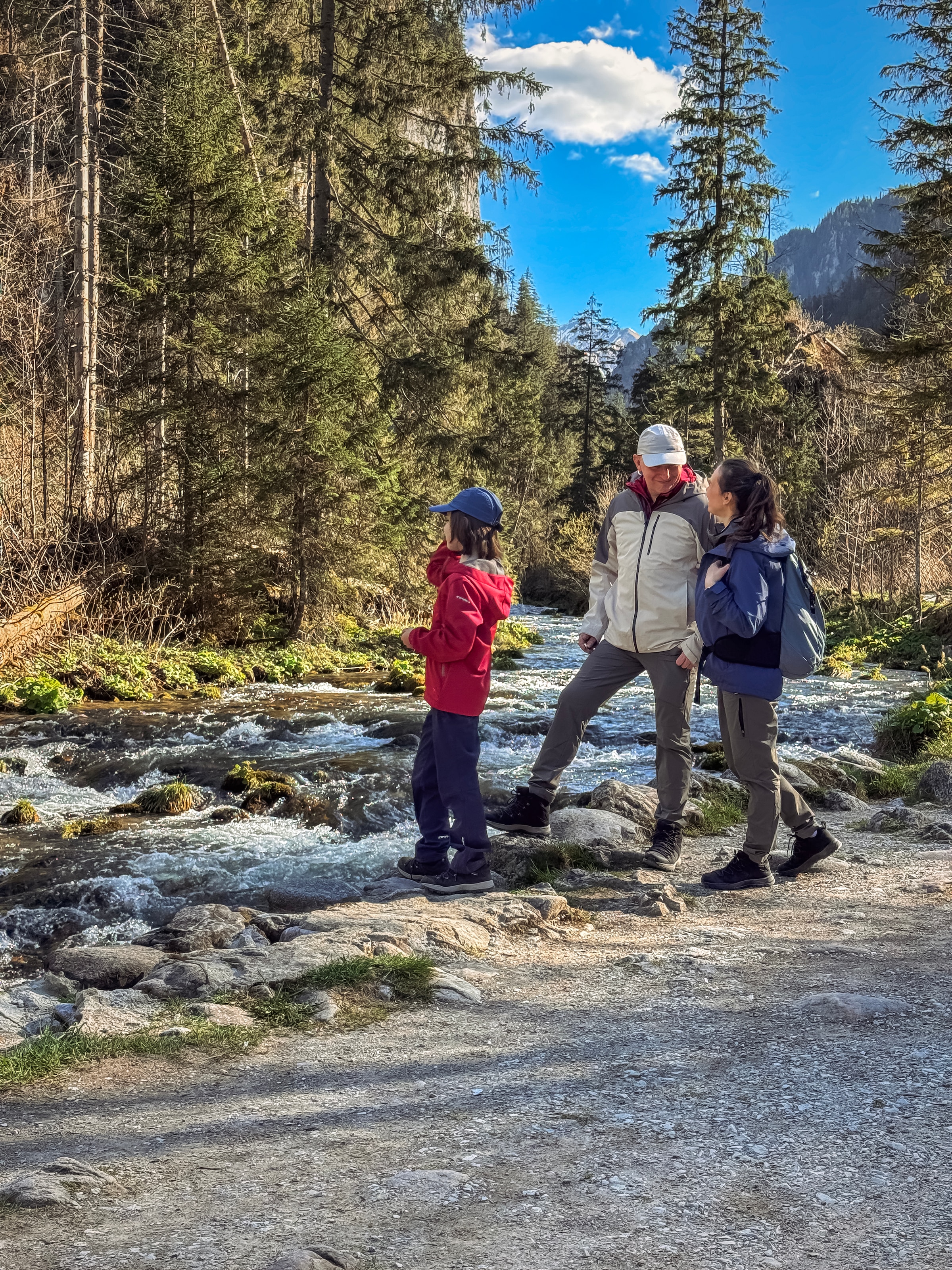 Icepeak Softshelljacke »KLINE JR«