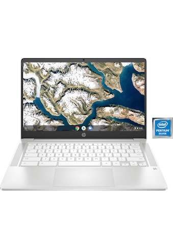 HP Chromebook »14a-na0218ng«, (35,6 cm/14 Zoll), Intel, Pentium Silber, UHD Graphics 605 kaufen