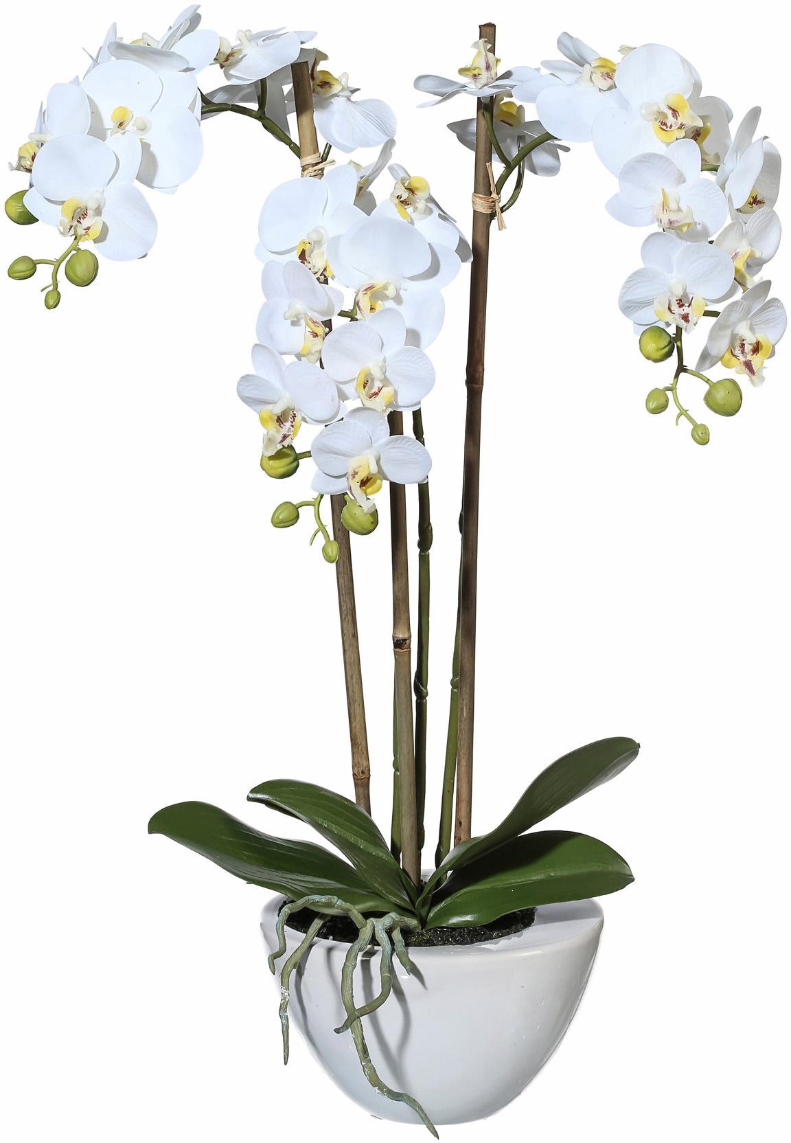 Kunstpflanze »Mini Orchidee«
