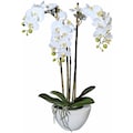 Creativ green Kunstpflanze »Mini Orchidee«, (1 St.)