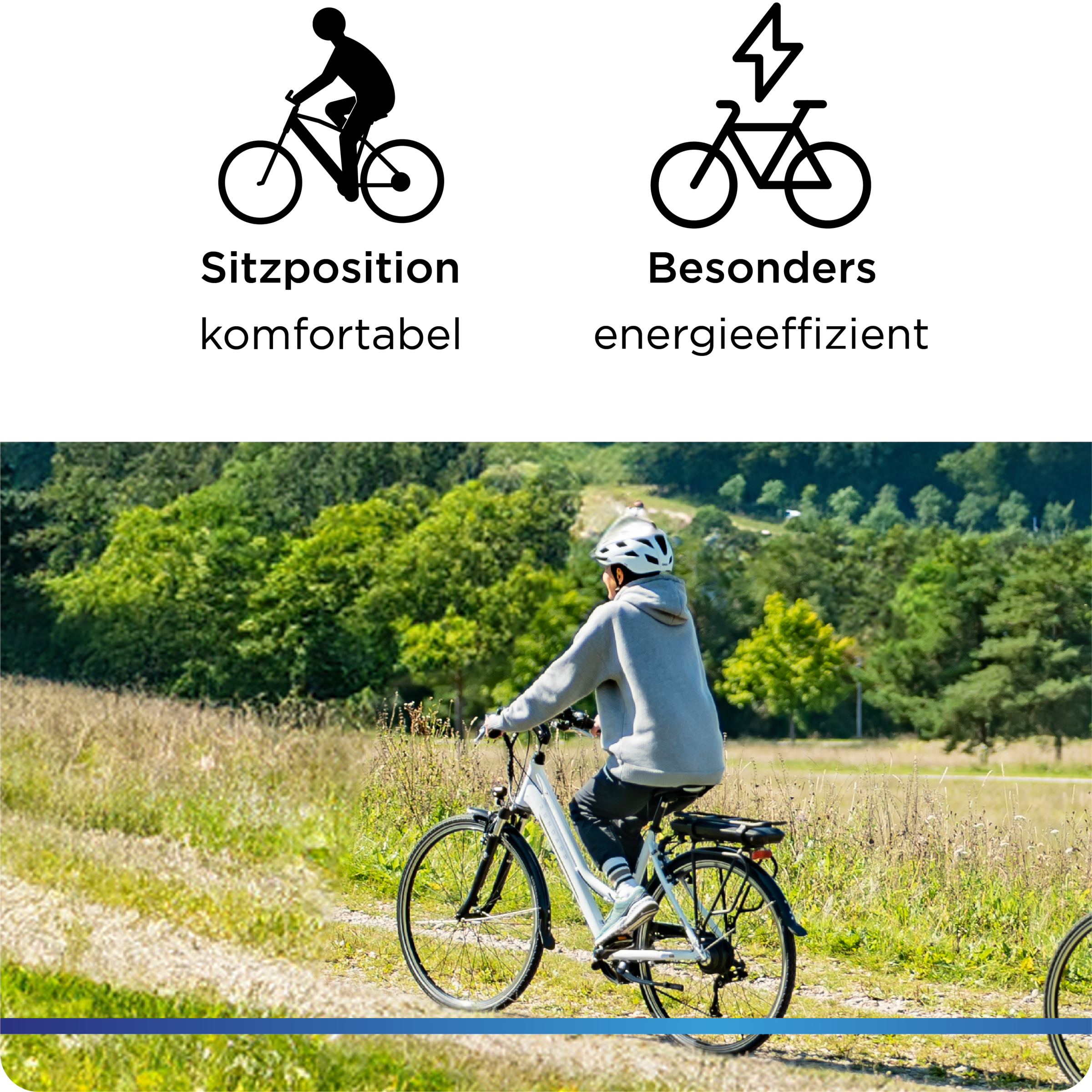 Zündapp »Z802 Damen« 21 Gang Shimano Tourney Schaltwerk Kettenschaltung Heckmotor 250 W Pedelec, Elektrofahrrad für Damen