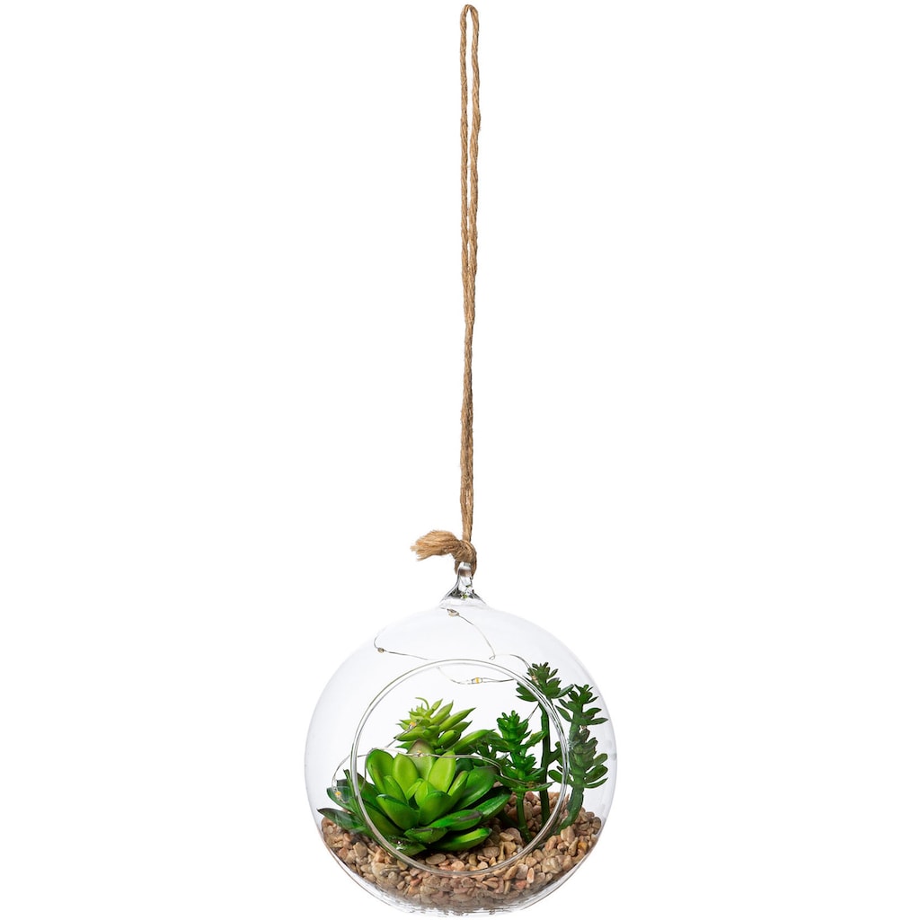 Creativ green Künstliche Zimmerpflanze »Sukkulenten-Mix mit LED-Beleuchtung«, Glasgefäß mit LED, zum Stellen oder Hängen geeignet