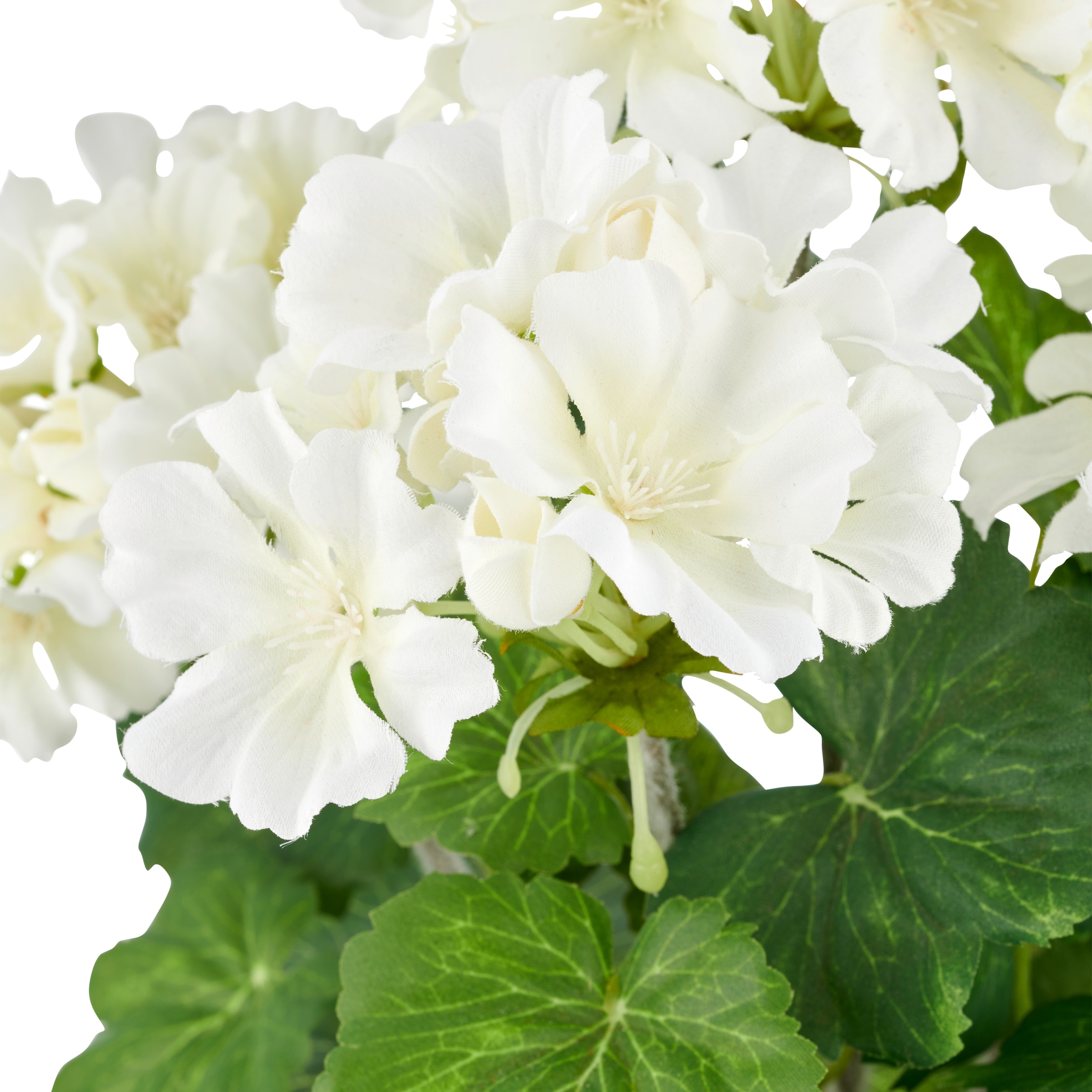 Creativ green Kunstpflanze »Geranie« in UV-beständiger Ausführung