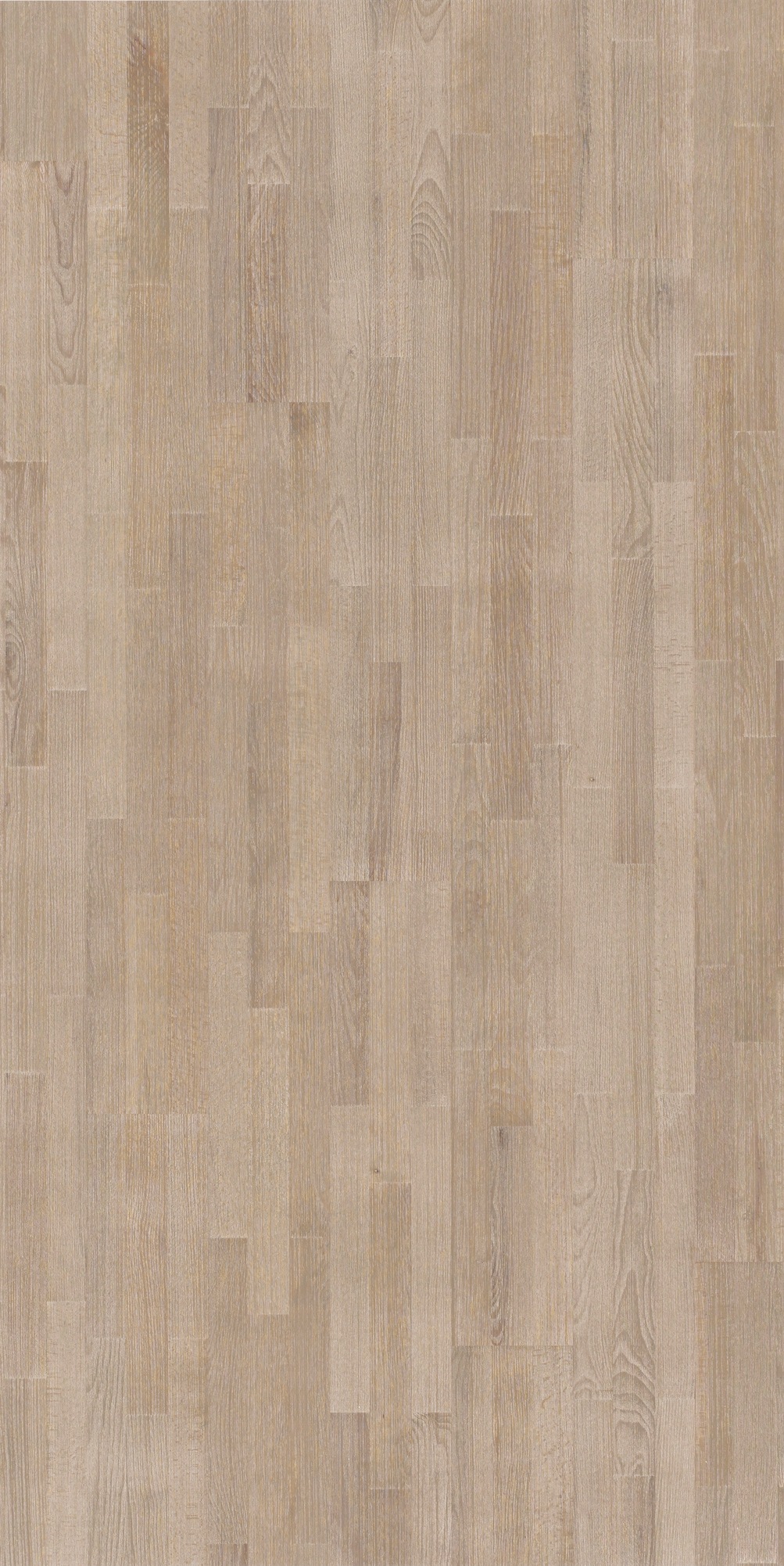 PARADOR Parkett »Classic 3060 Living - Buche MontBlanc«, (Packung), ohne Fuge, 2200 x 185 mm, Stärke: 13 mm, 3,66 m²