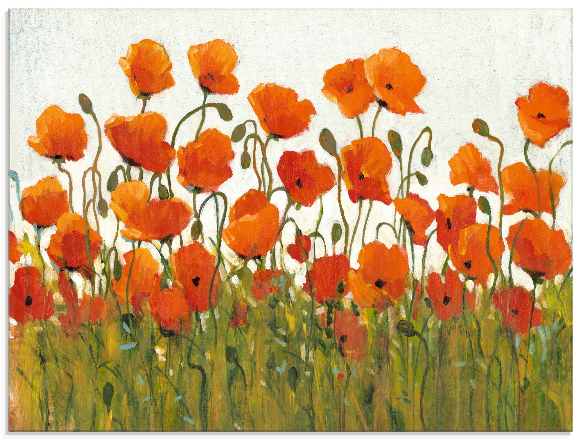 Artland Glasbild »Reihe von Mohnblumen I«, Blumen, (1 St.)